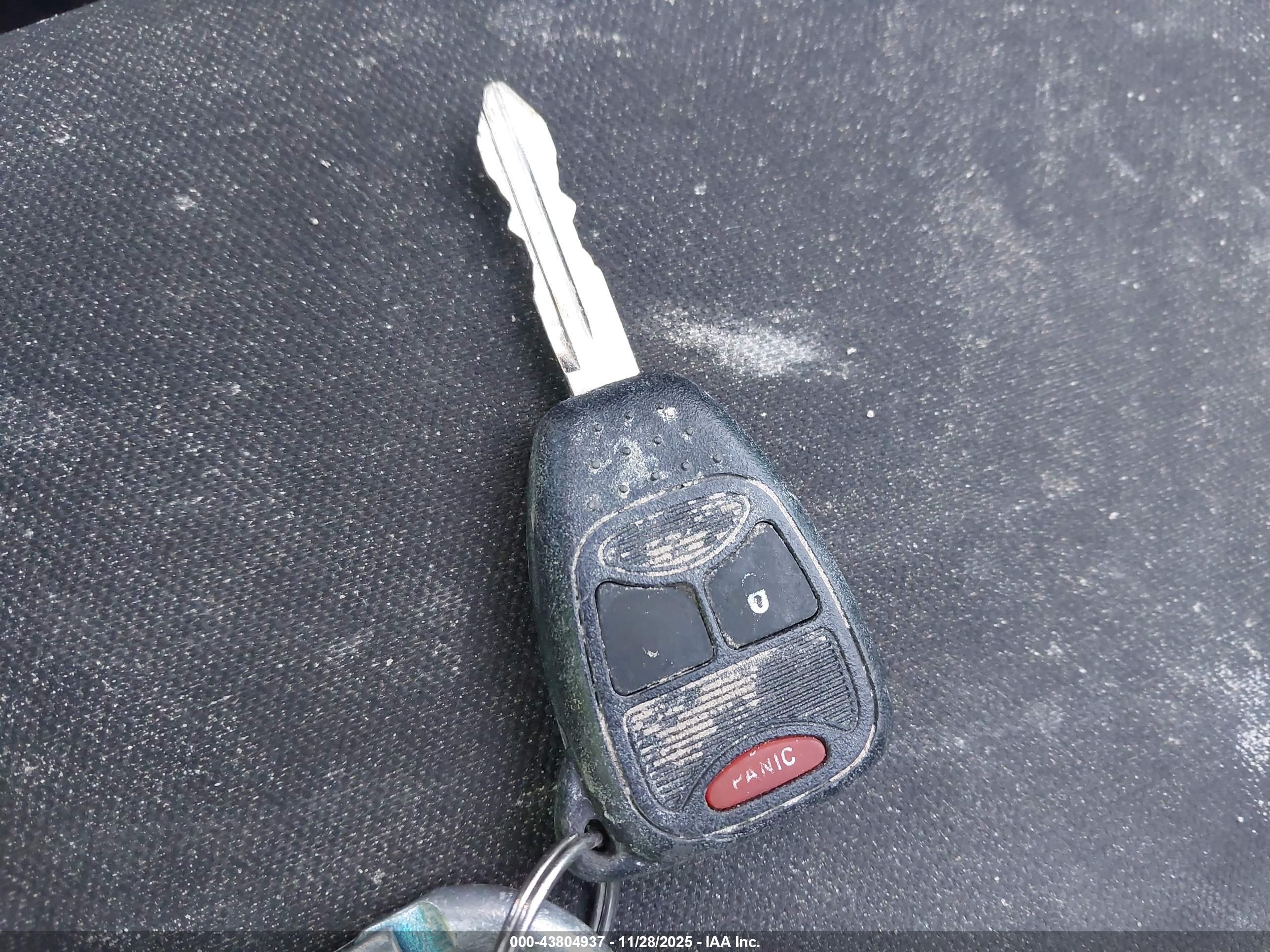 JEEP WRANGLER image 11