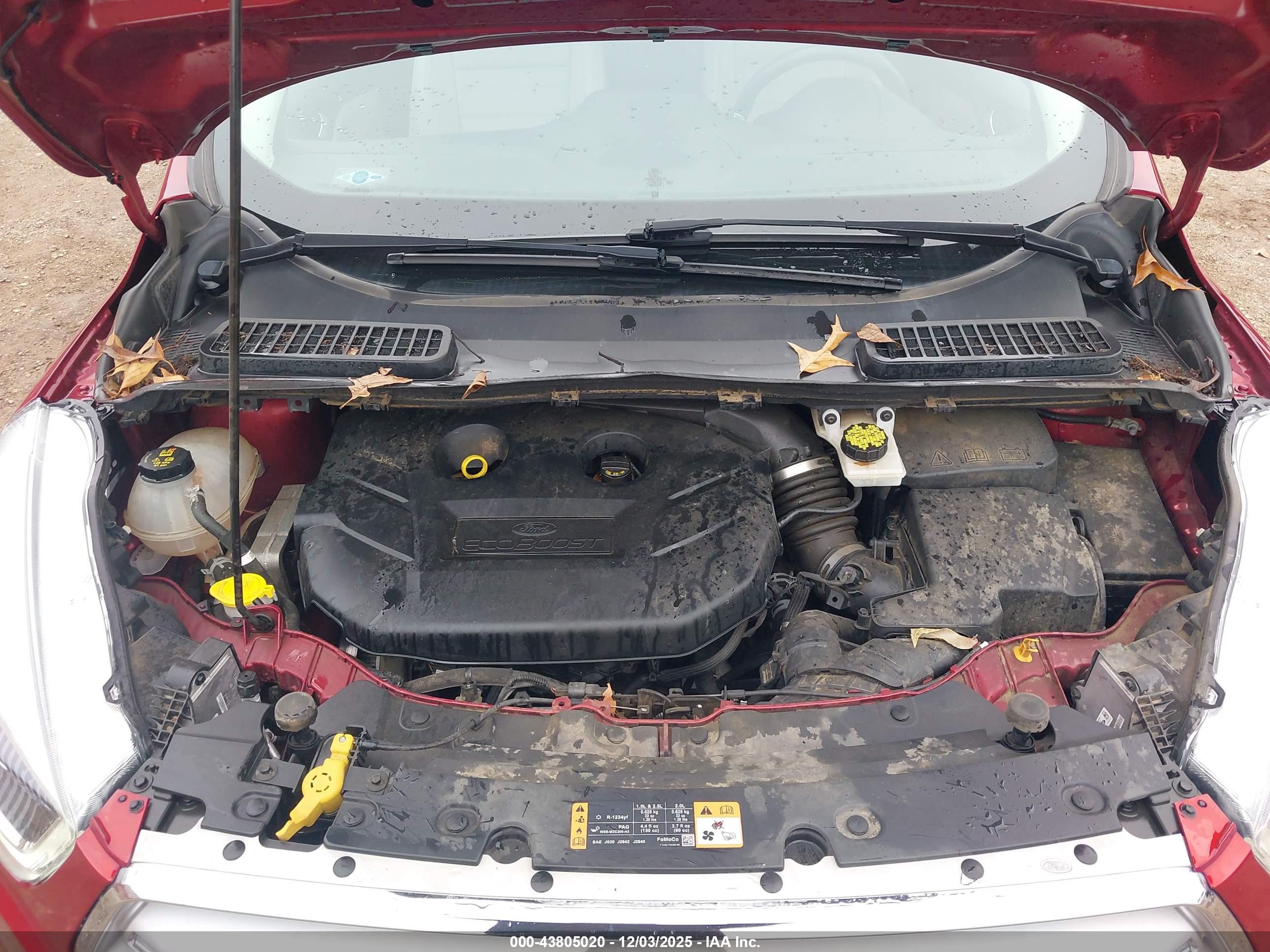 FORD ESCAPE image 10
