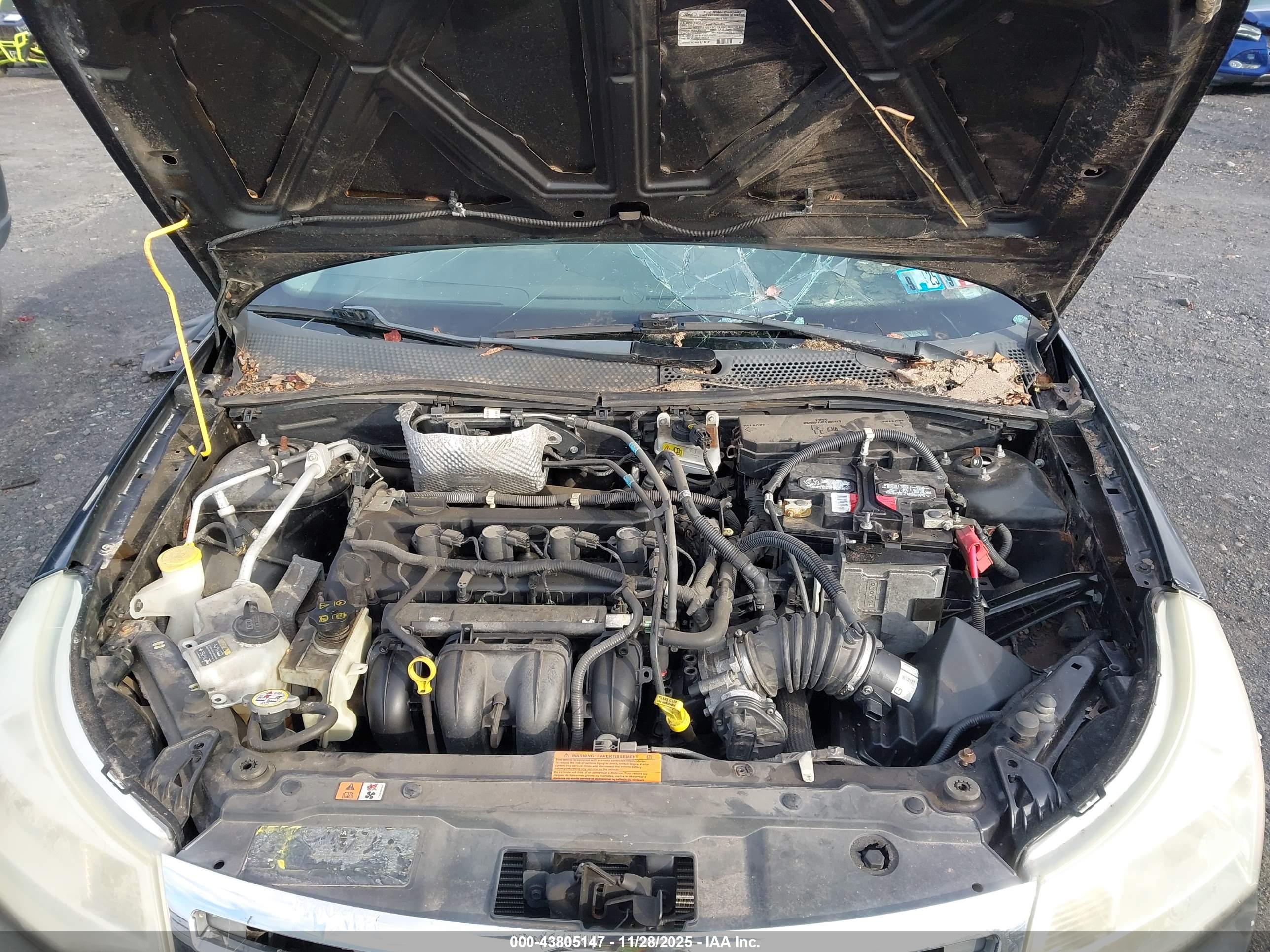 FORD FOCUS image 10