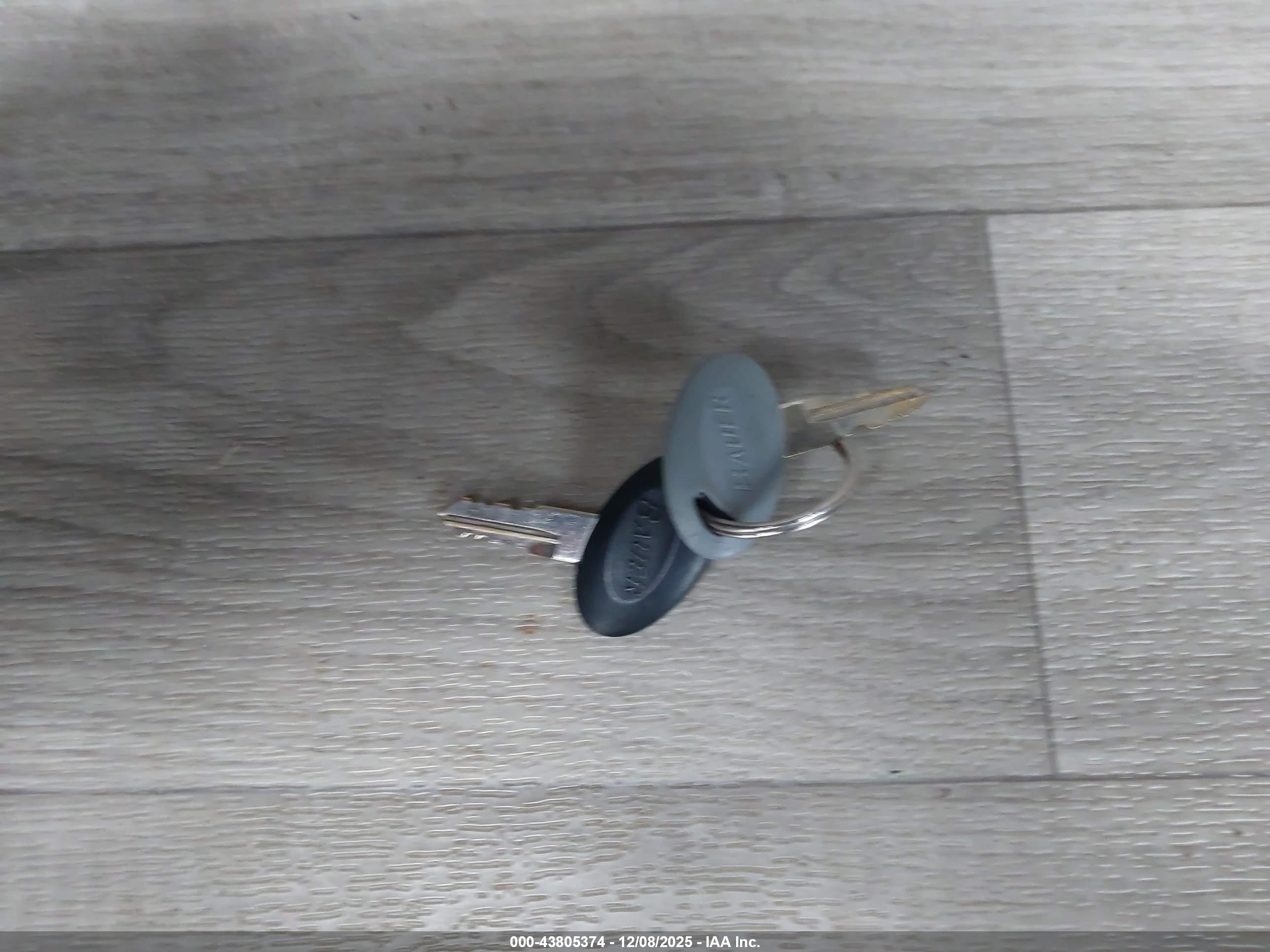 GRAND DESIGN image 11