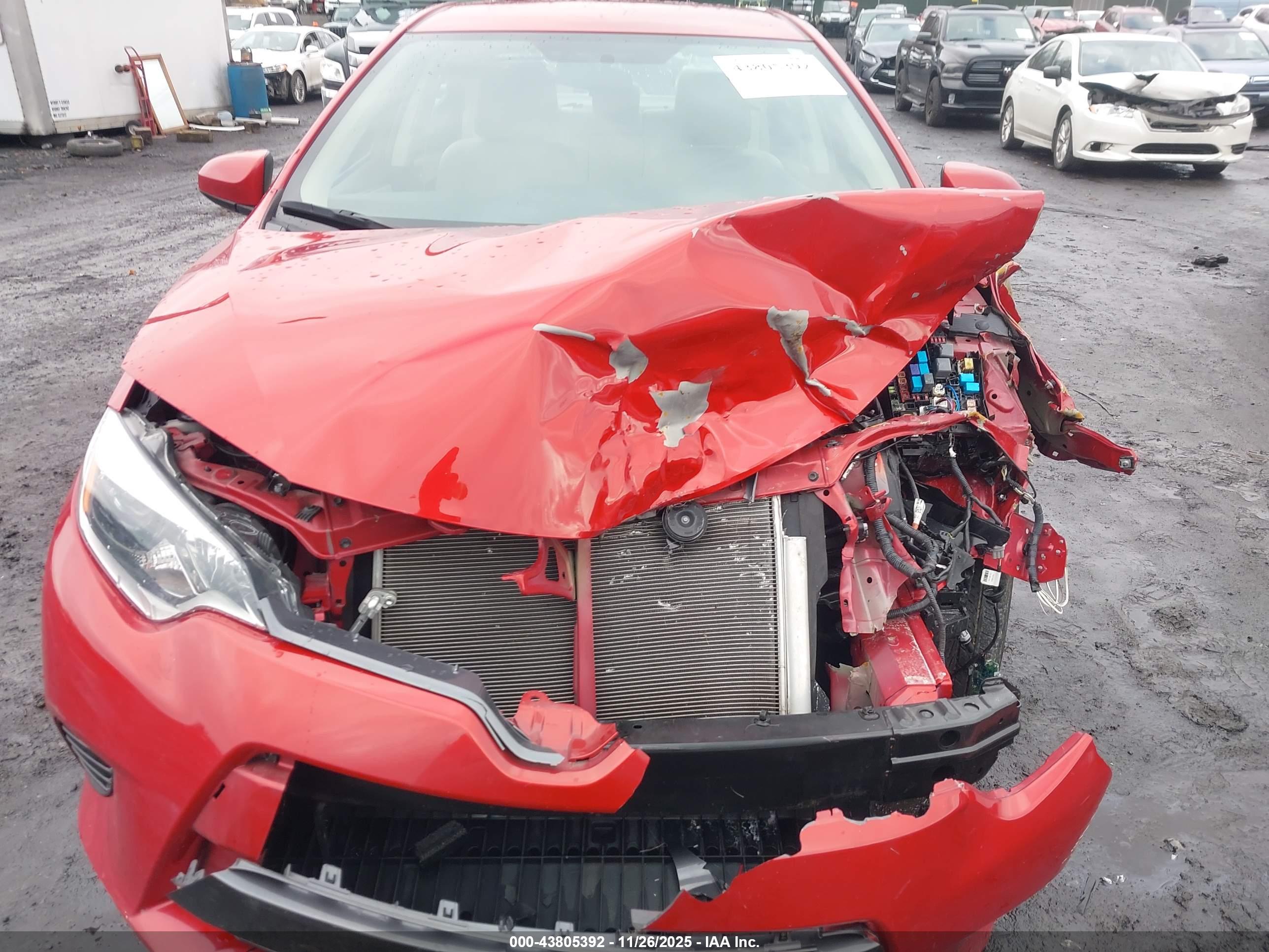 TOYOTA COROLLA image 6