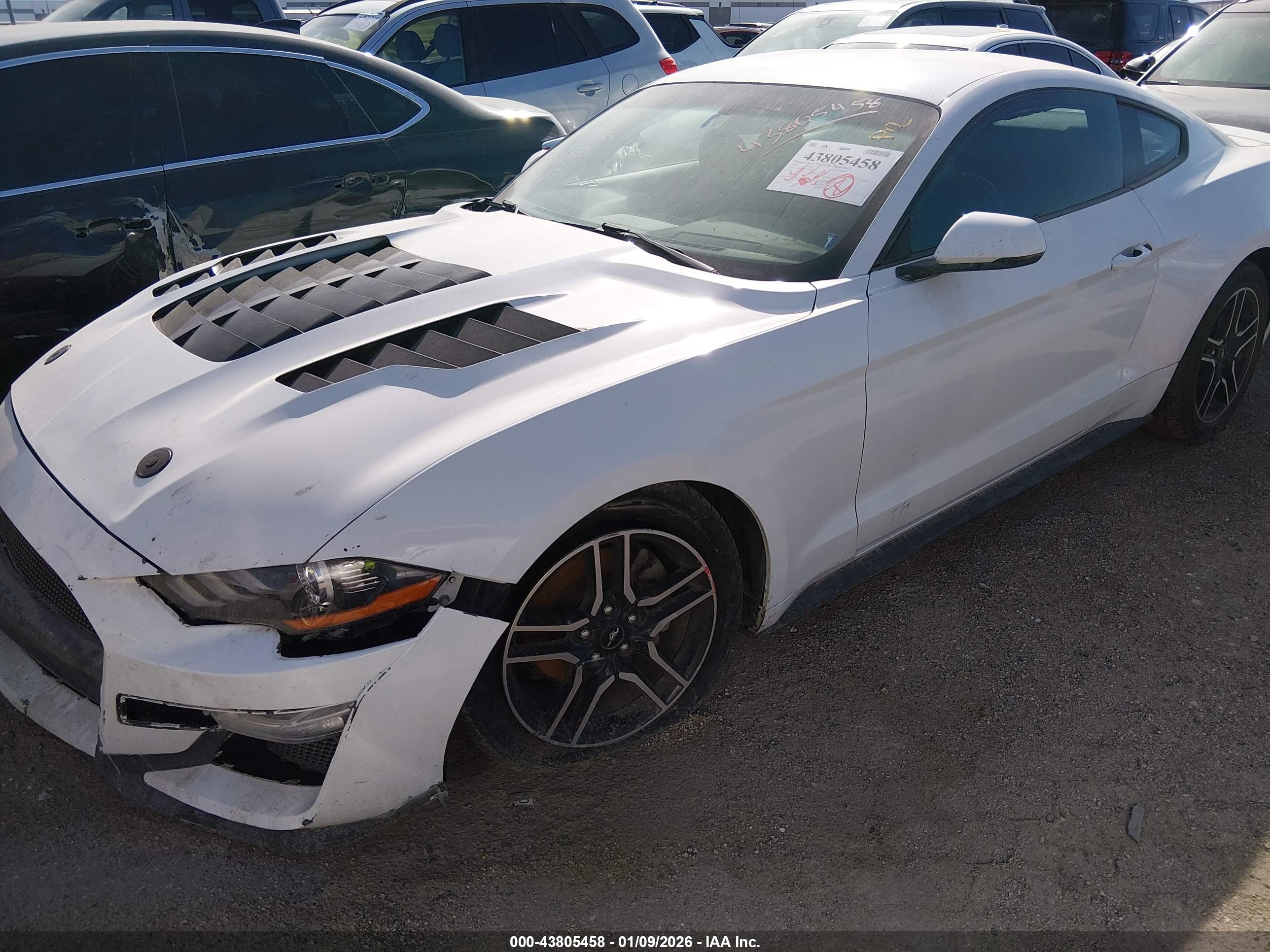 FORD MUSTANG image 2