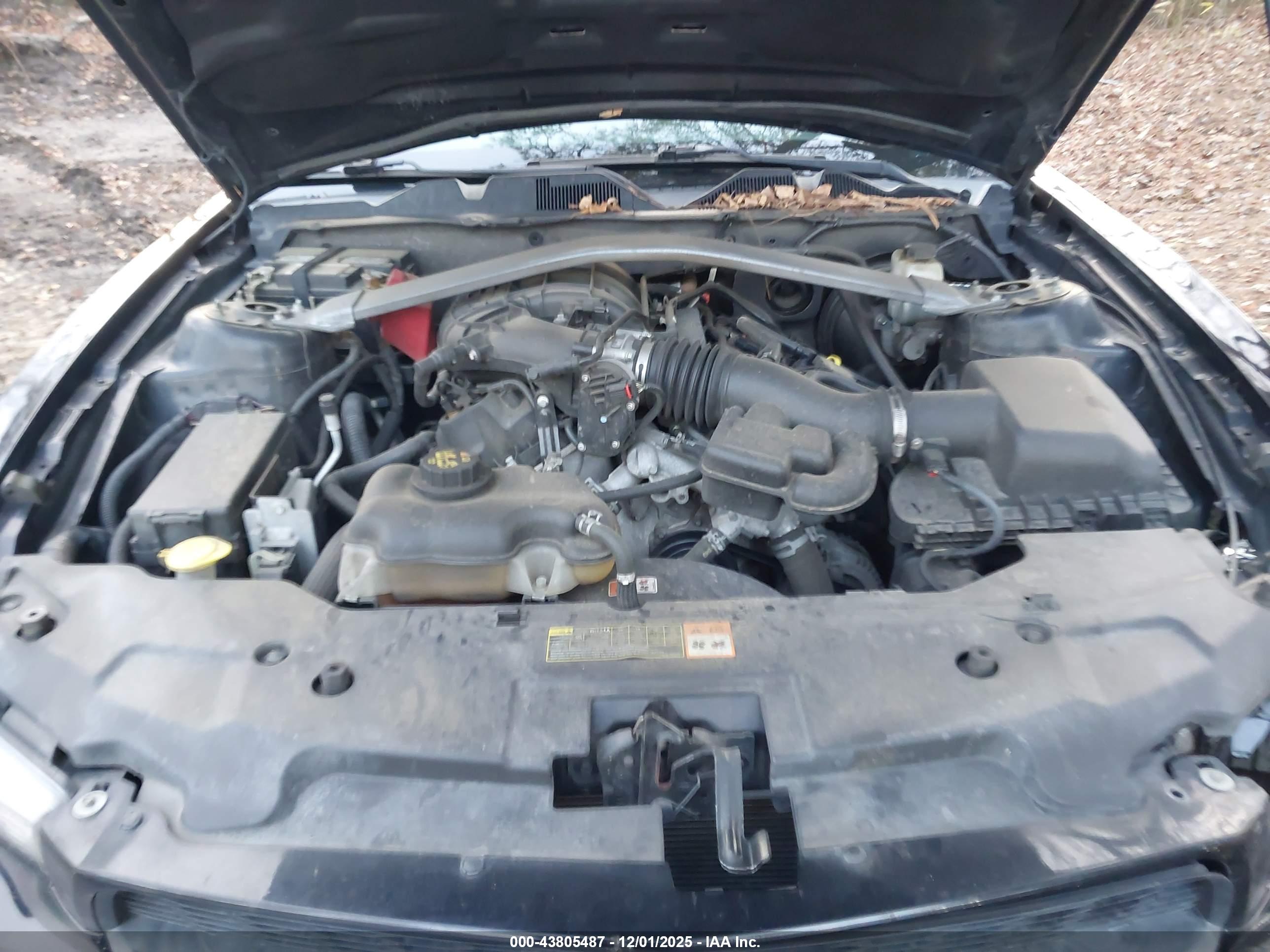 FORD MUSTANG image 10