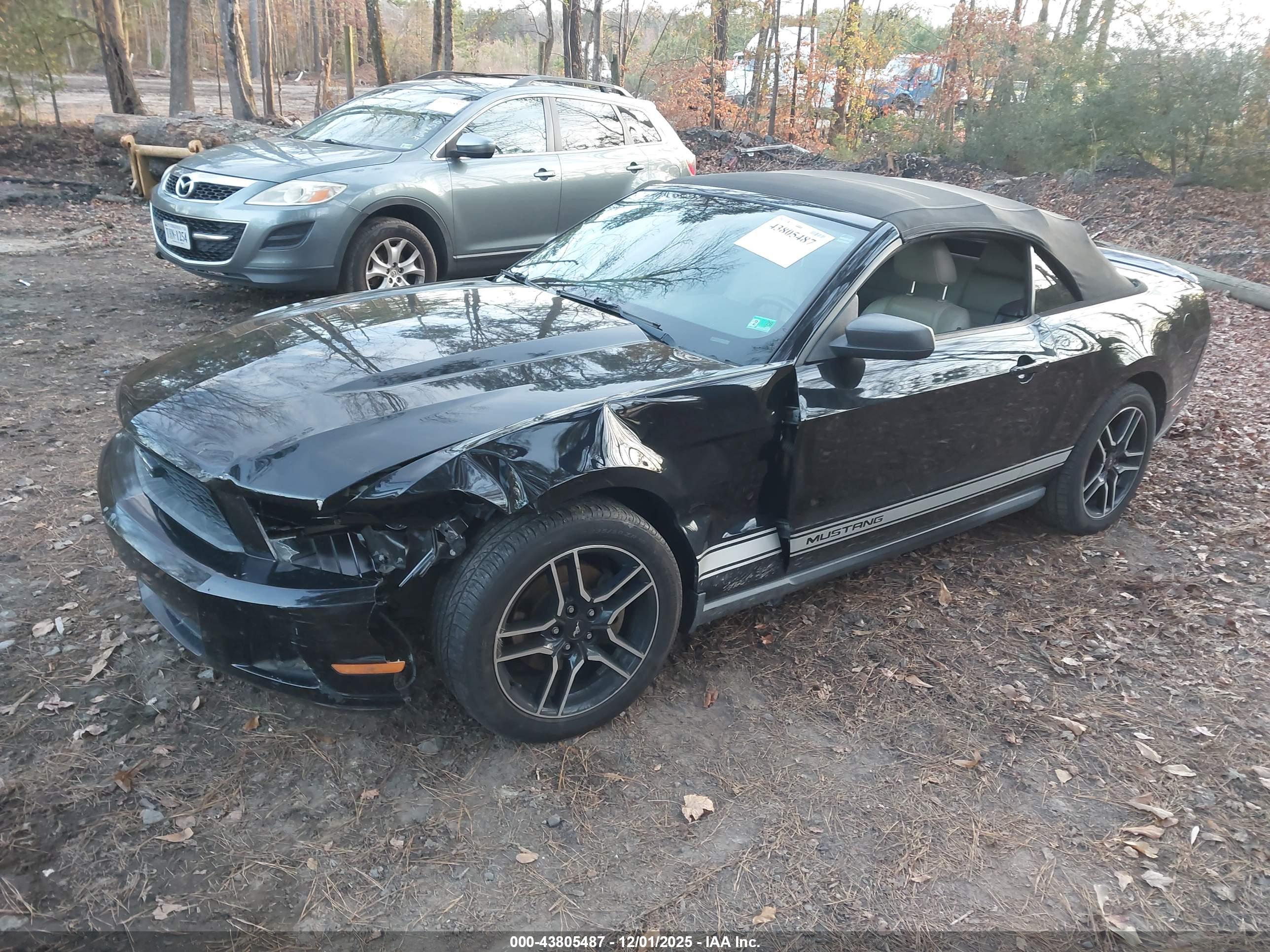 FORD MUSTANG image 2