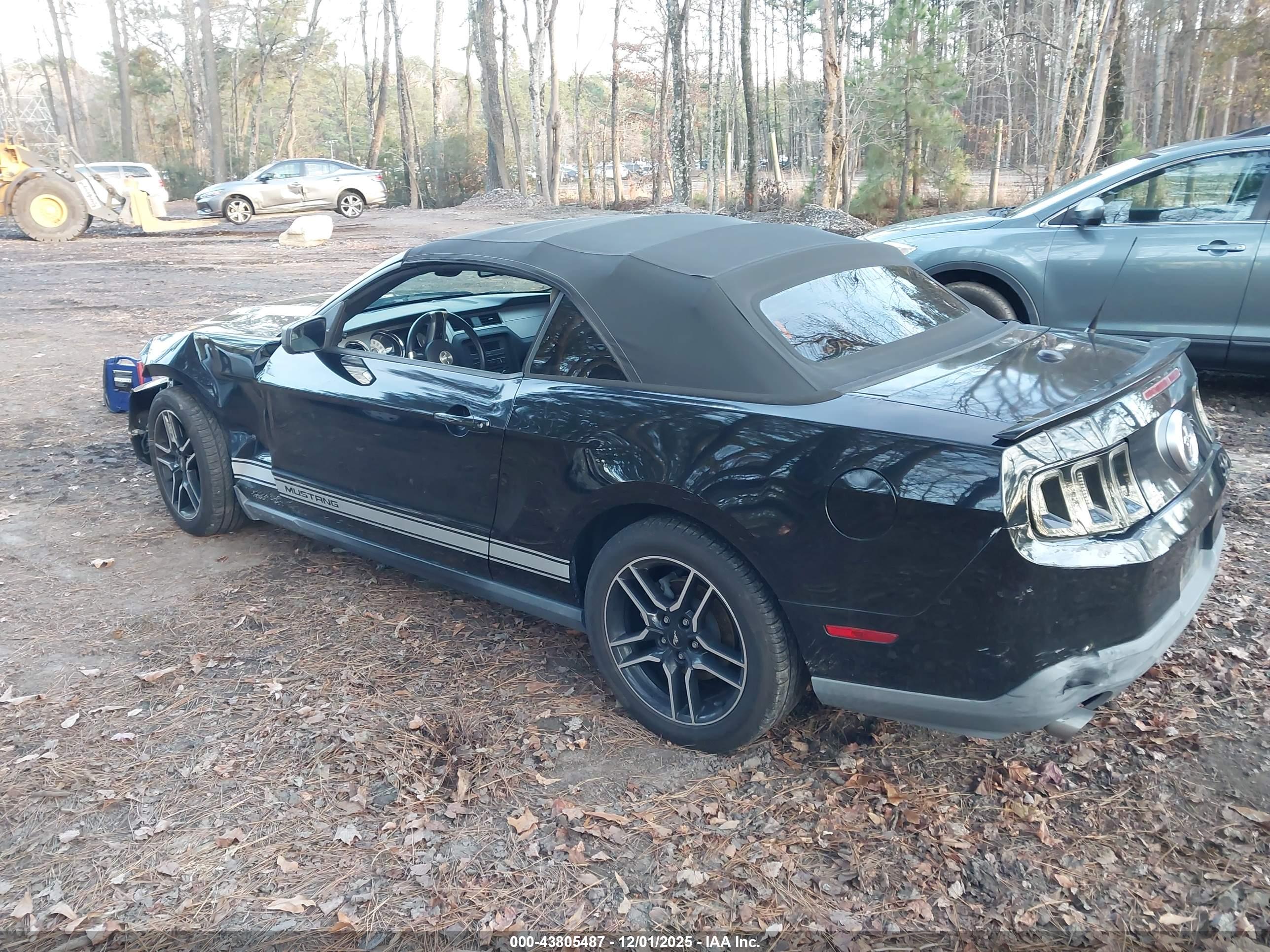 FORD MUSTANG image 3