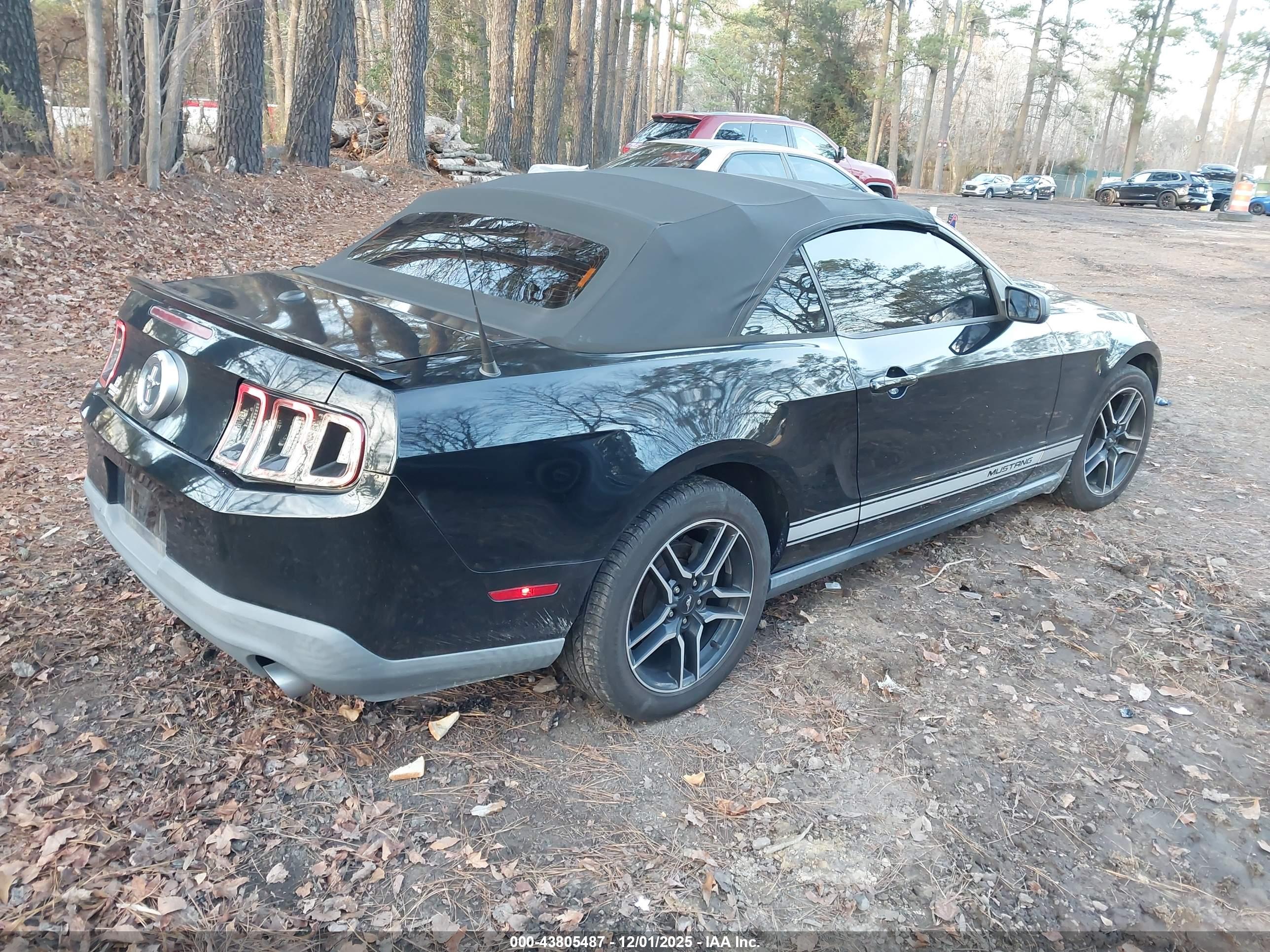 FORD MUSTANG image 4