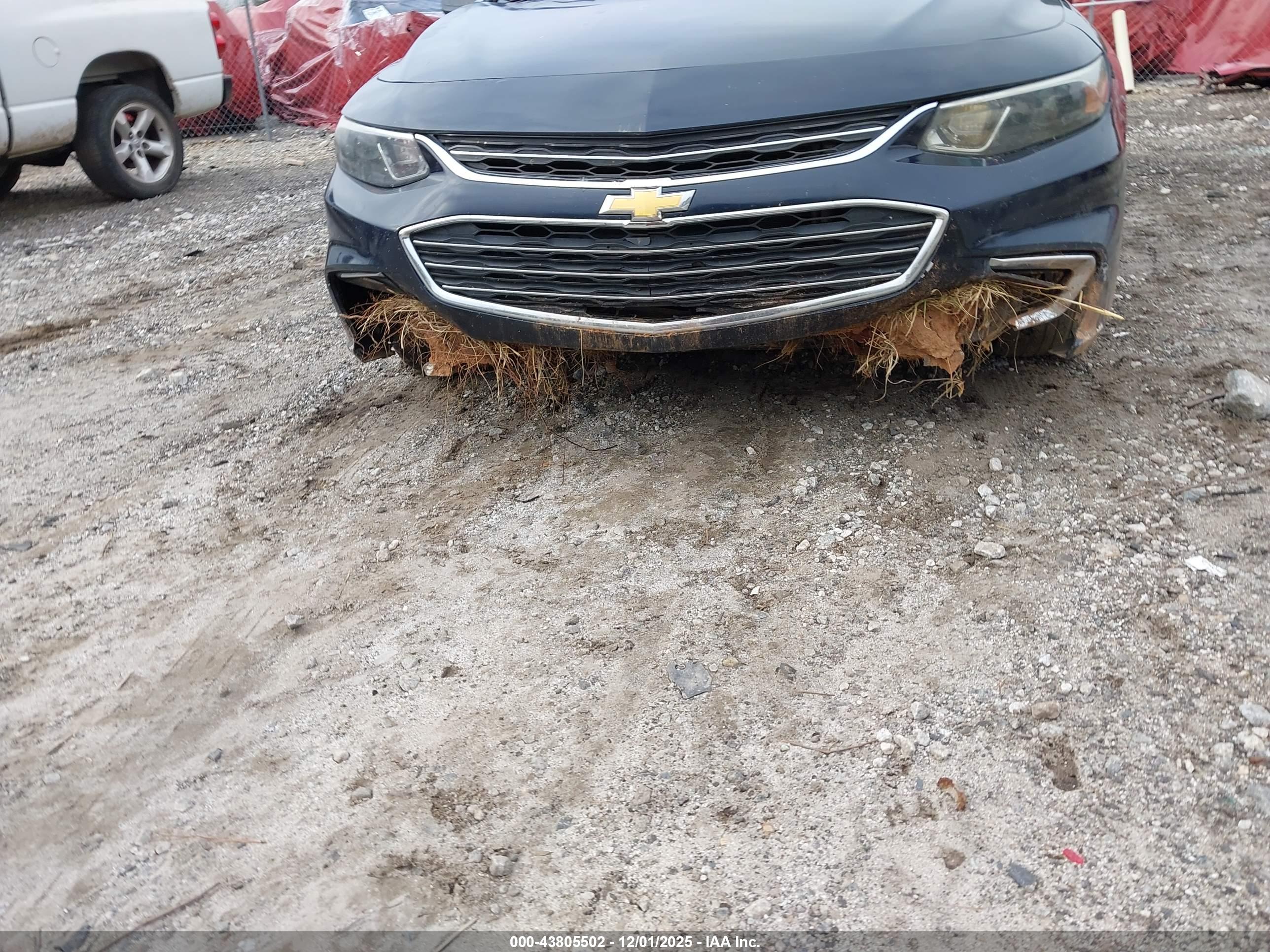CHEVROLET MALIBU image 6