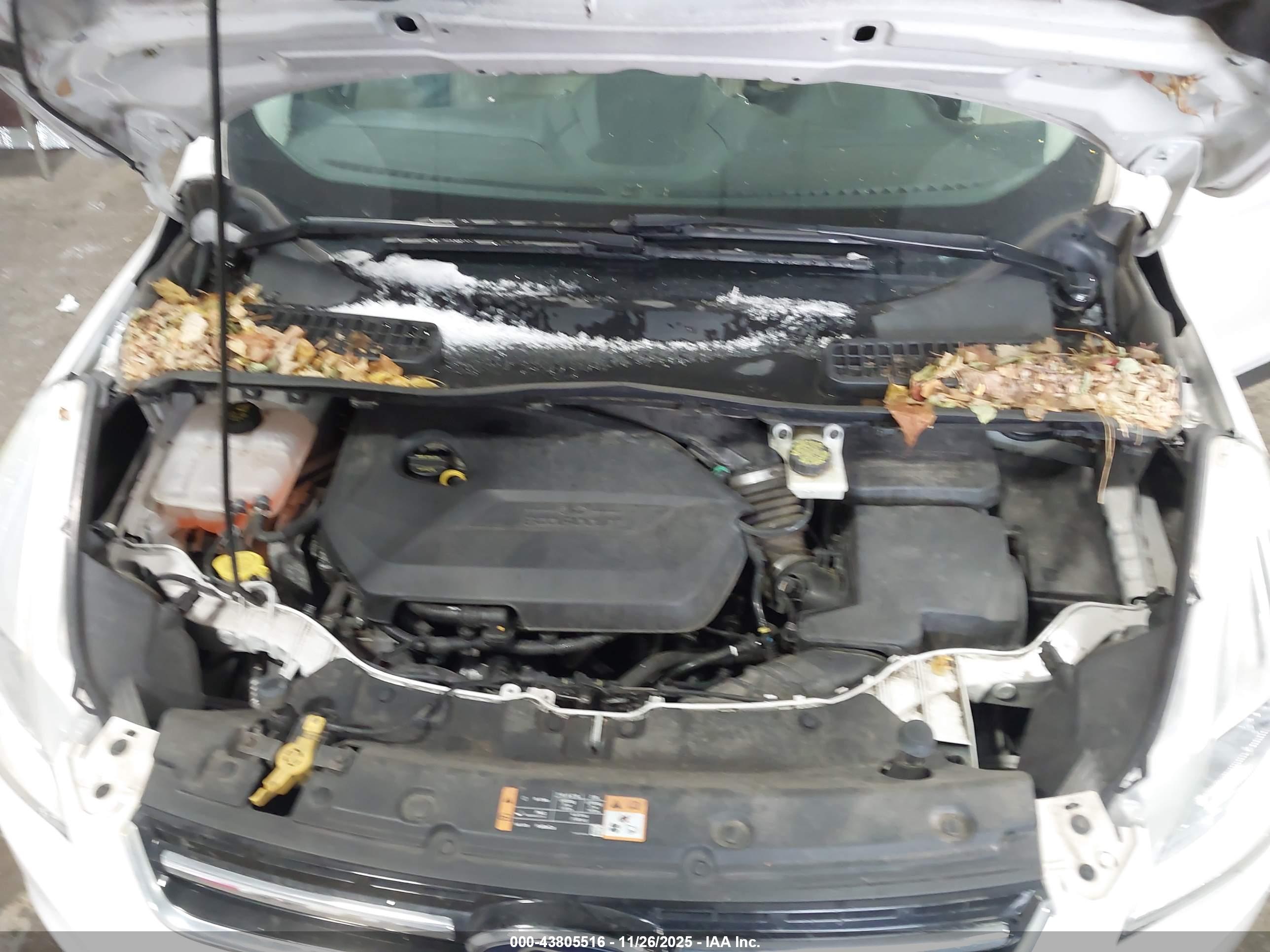 FORD ESCAPE image 10