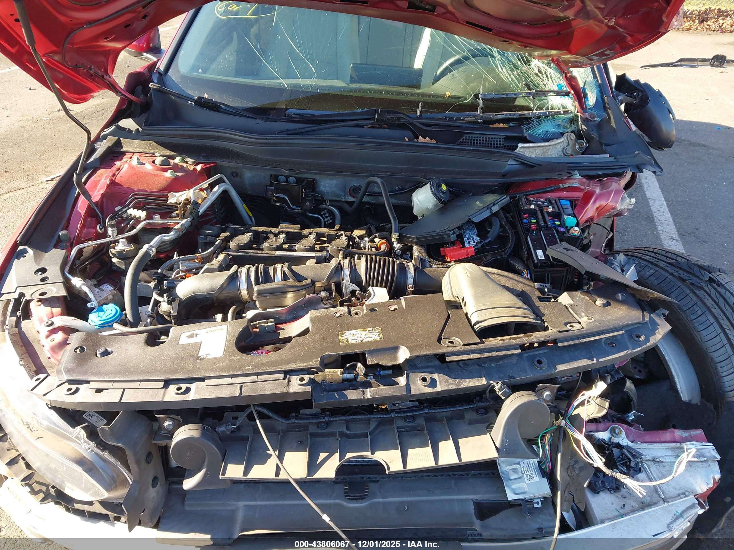 HONDA ACCORD image 10
