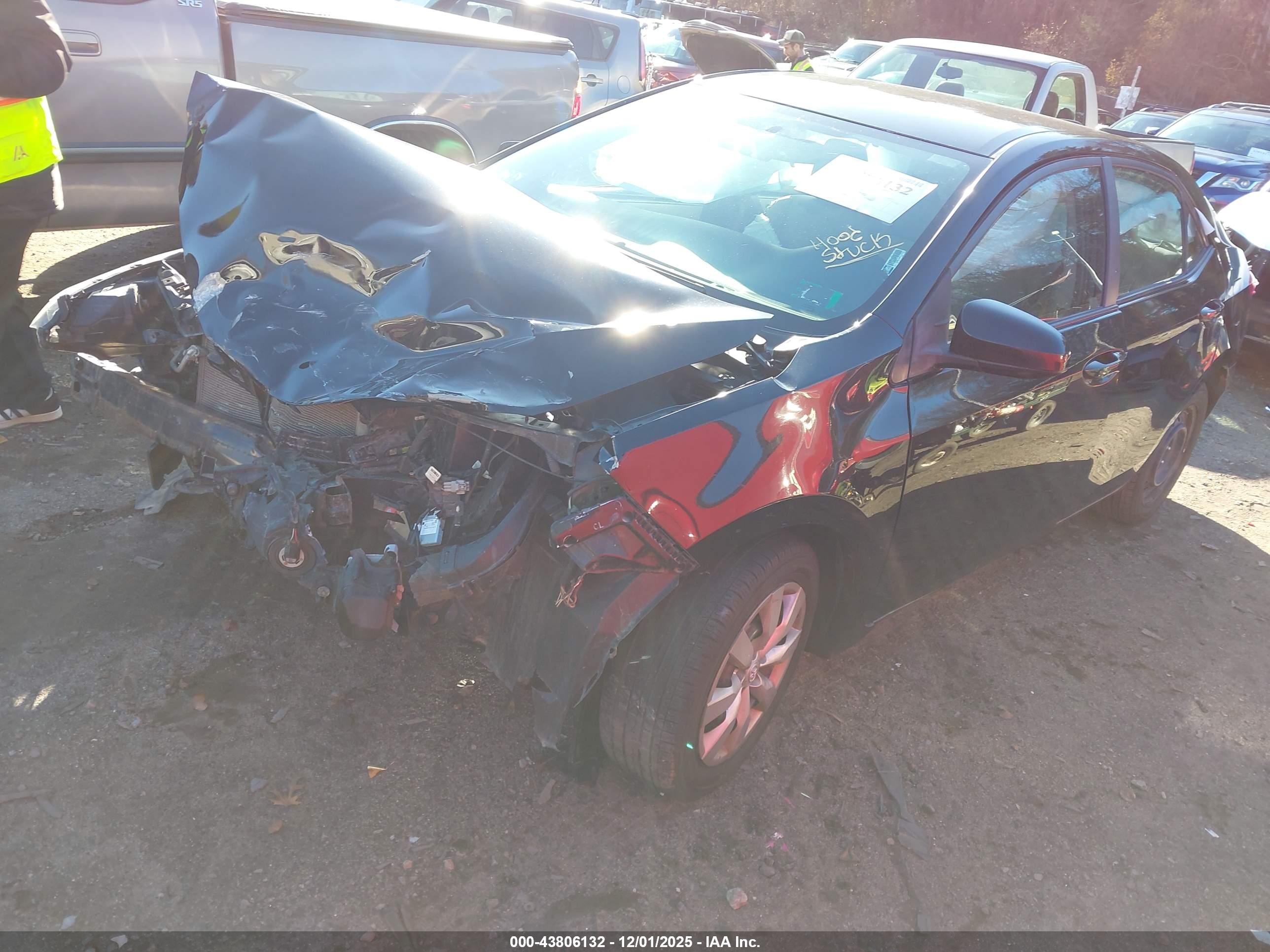TOYOTA COROLLA image 2