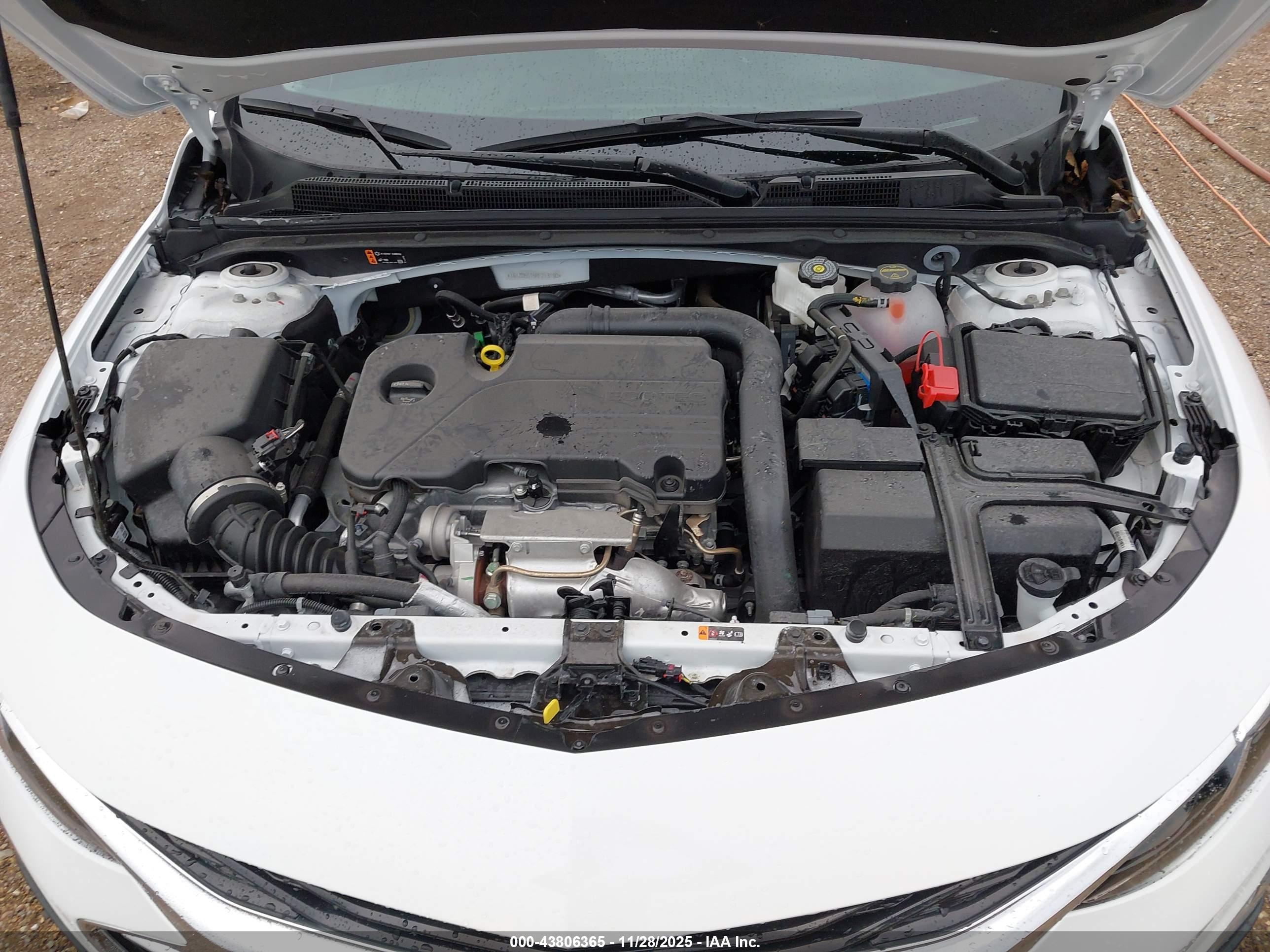 CHEVROLET MALIBU image 10