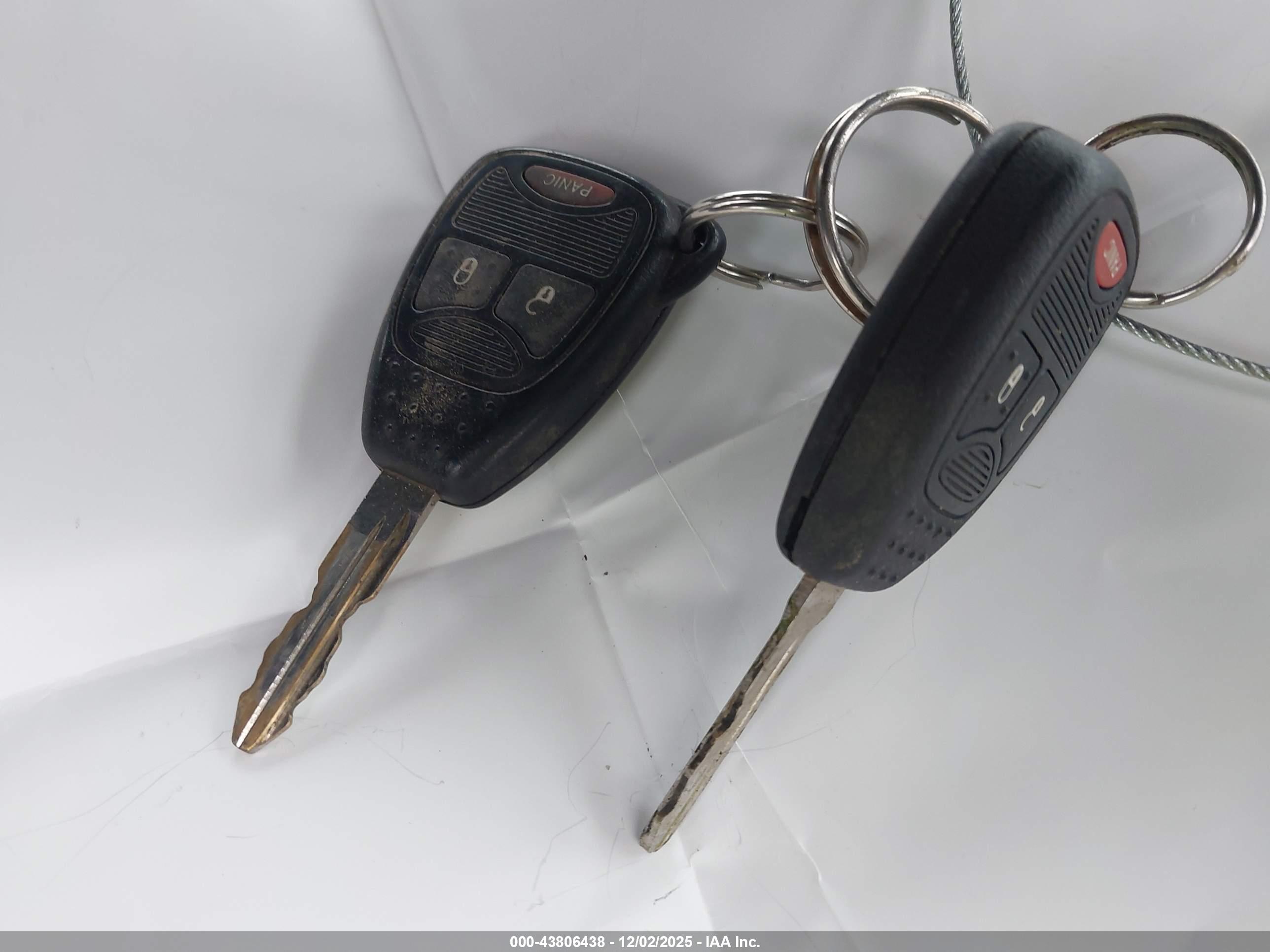 JEEP WRANGLER image 11