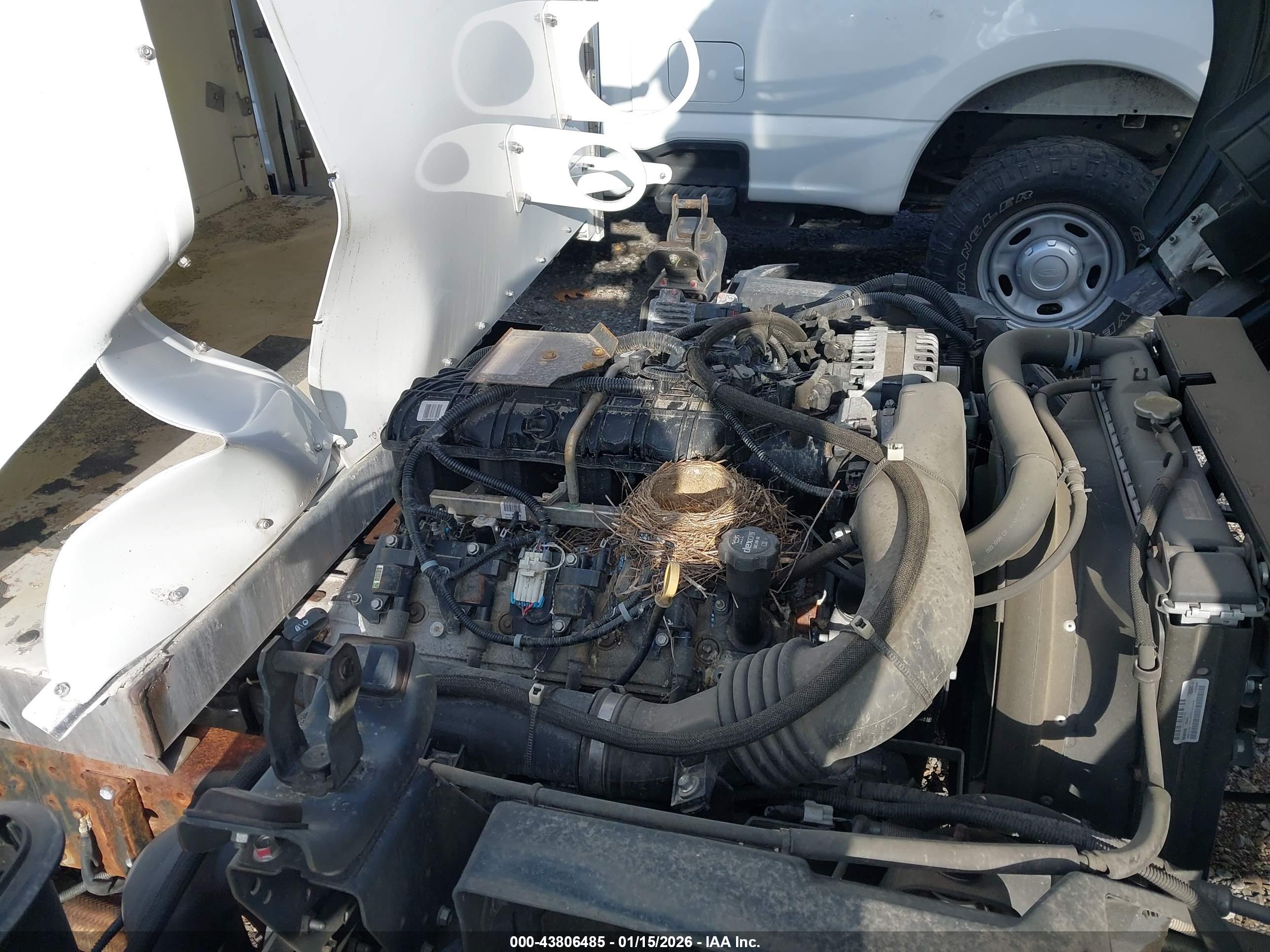 ISUZU NPR image 10