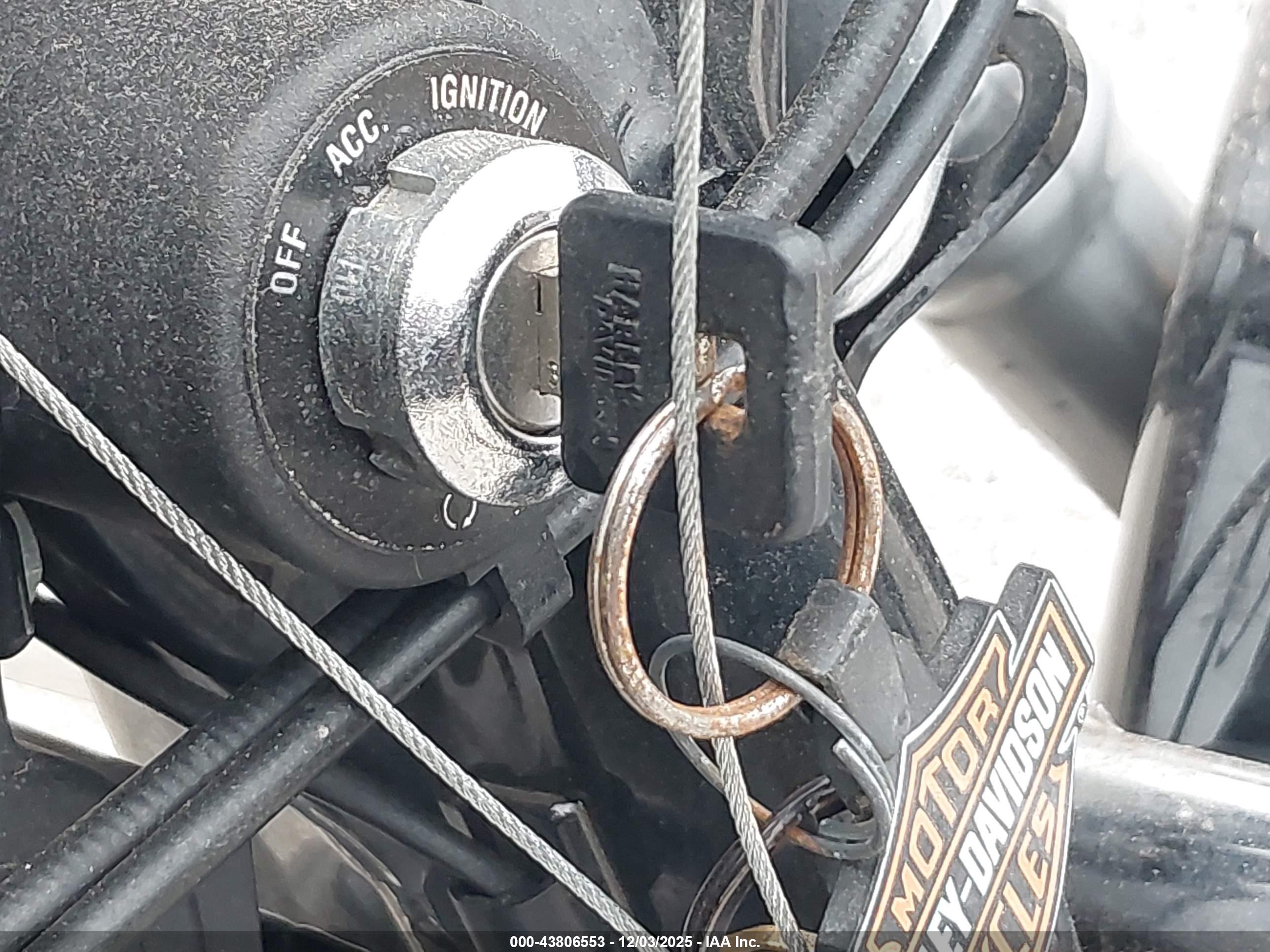 HARLEY-DAVIDSON XL883 image 11