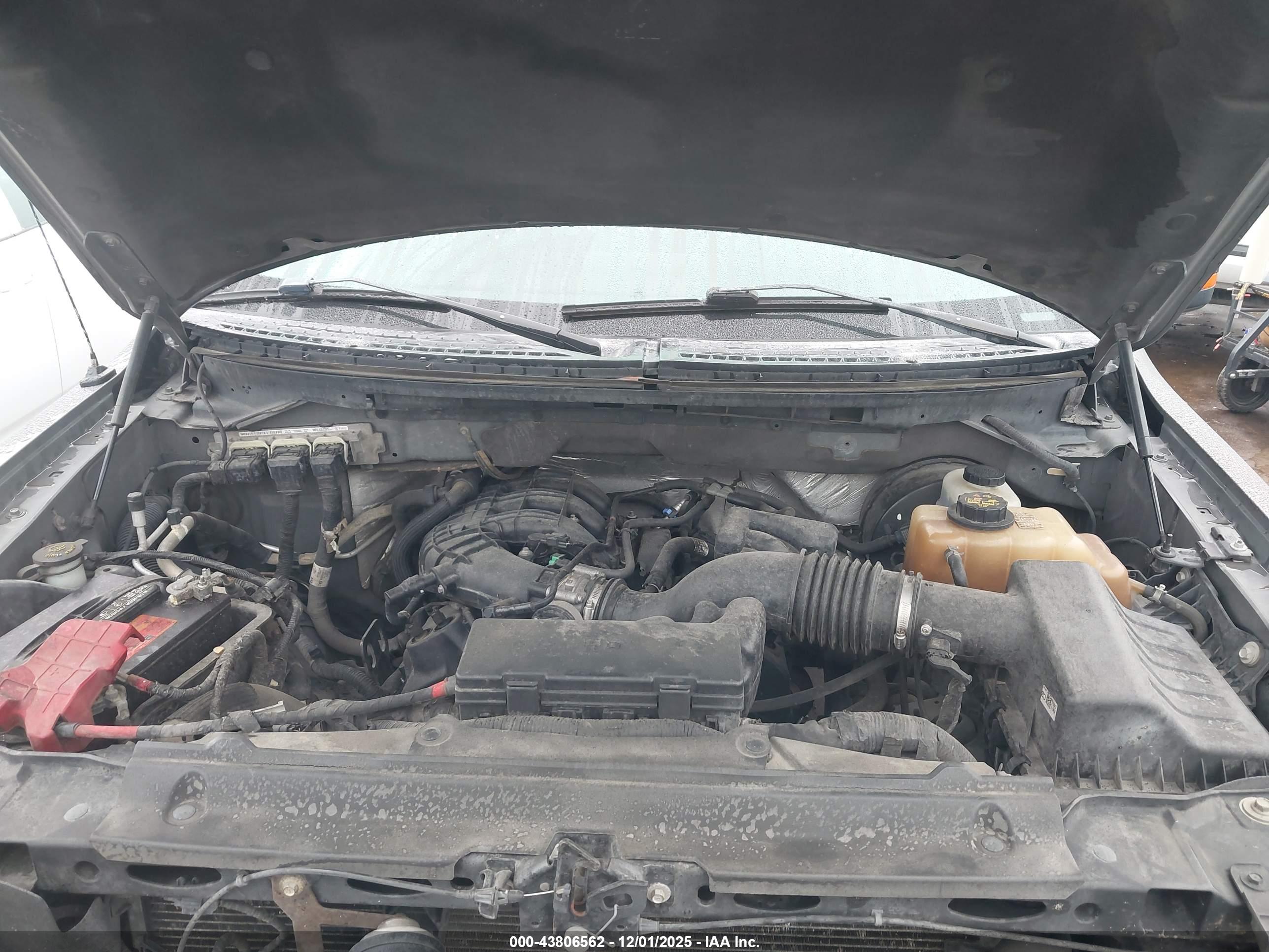 FORD F-150 image 10