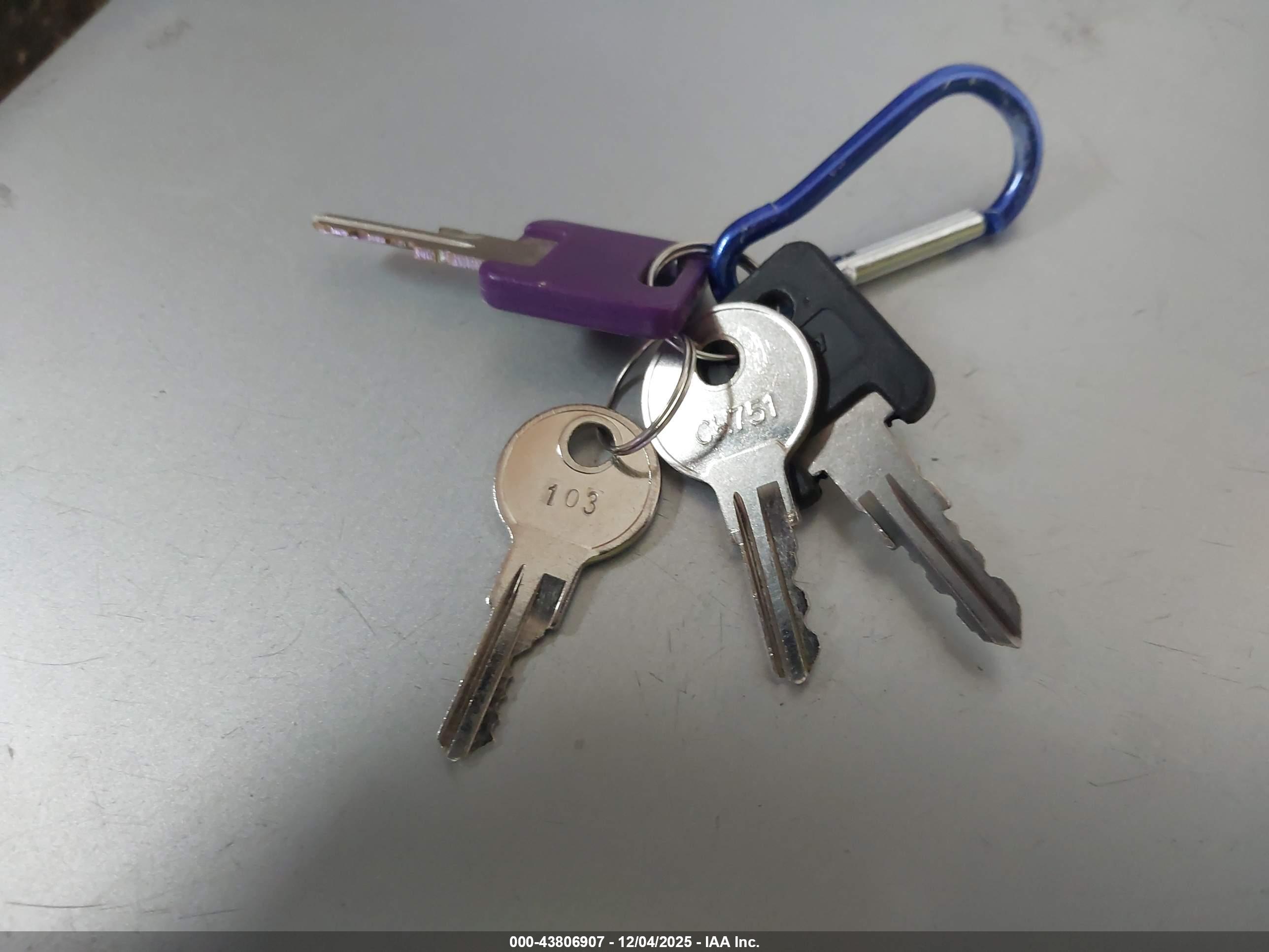 DUTCHMEN DENALI image 11