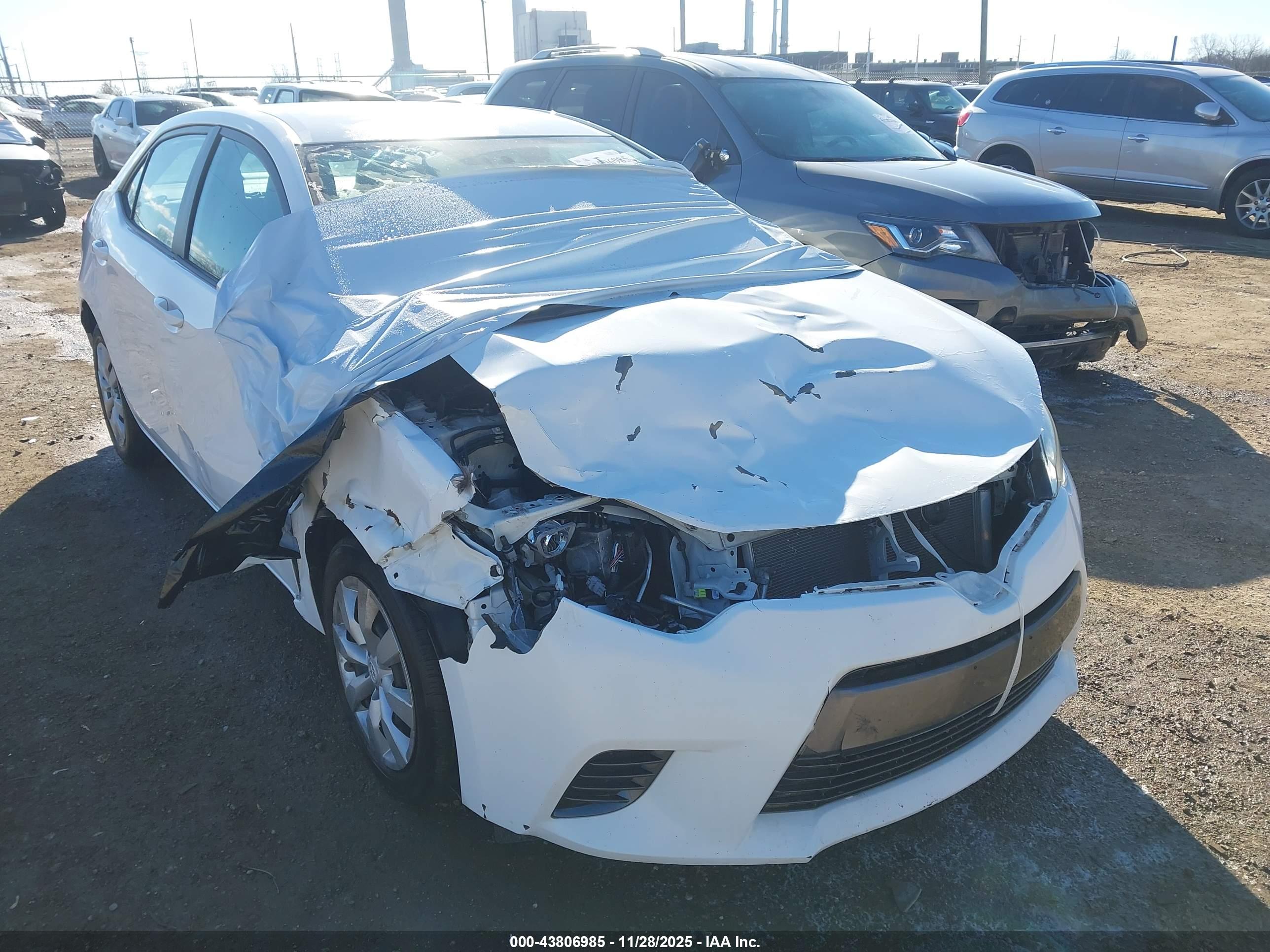 TOYOTA COROLLA image 6