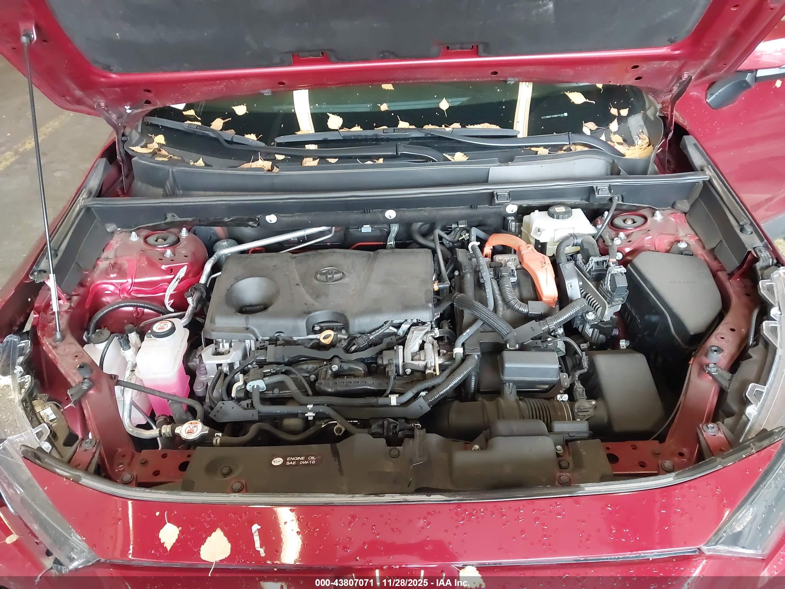 TOYOTA RAV4 image 10