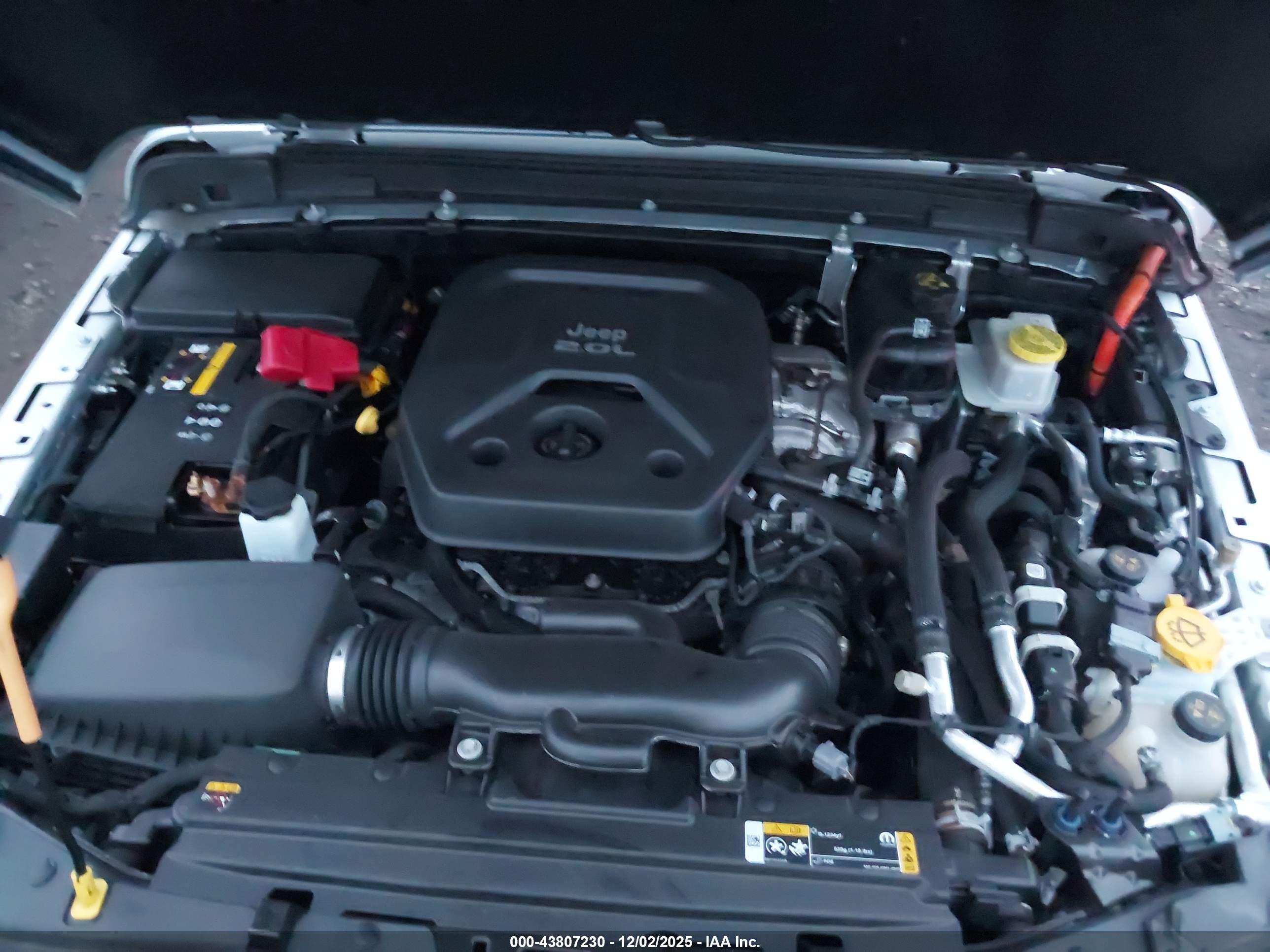 JEEP WRANGLER image 10