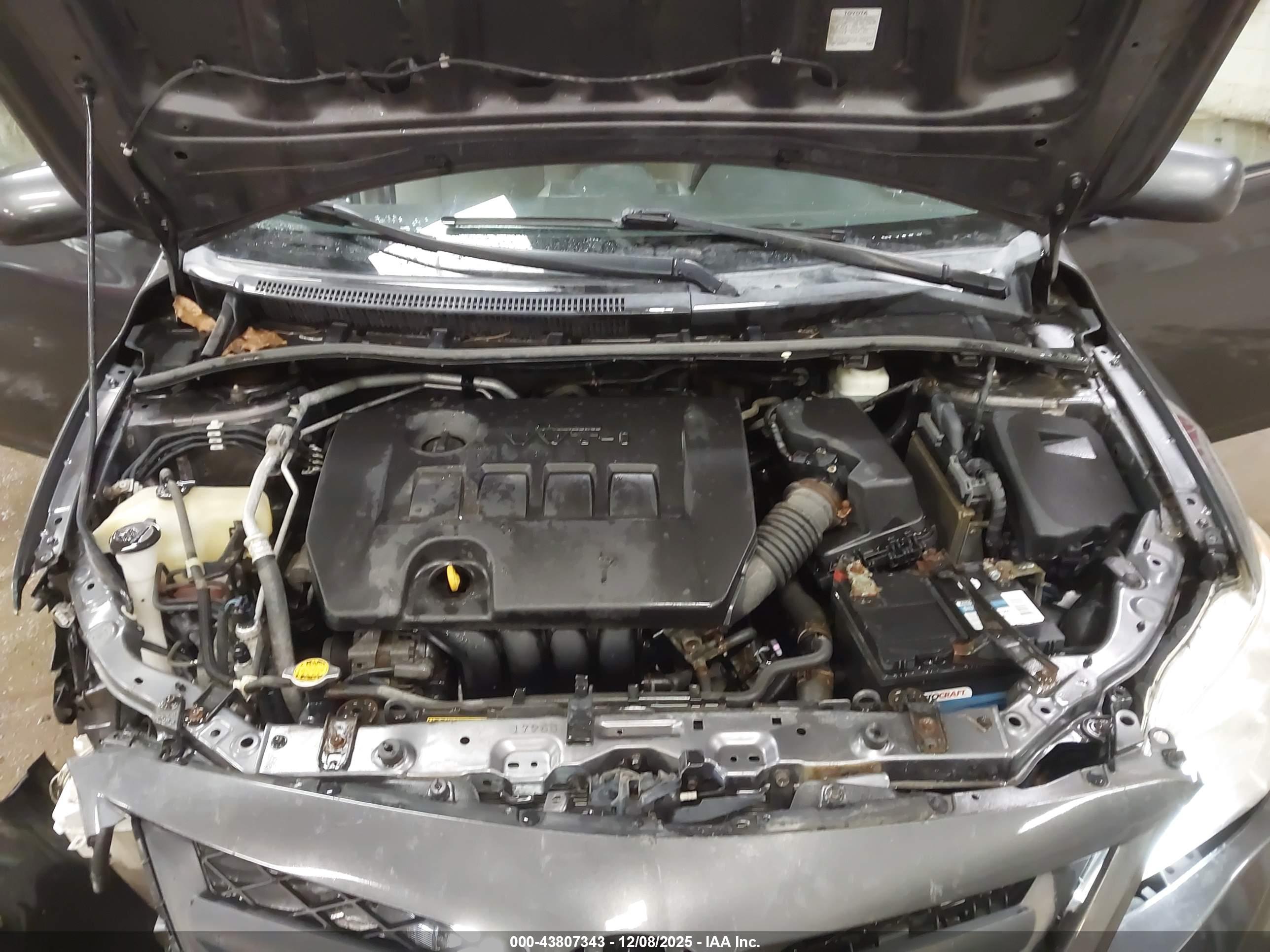 TOYOTA COROLLA image 10