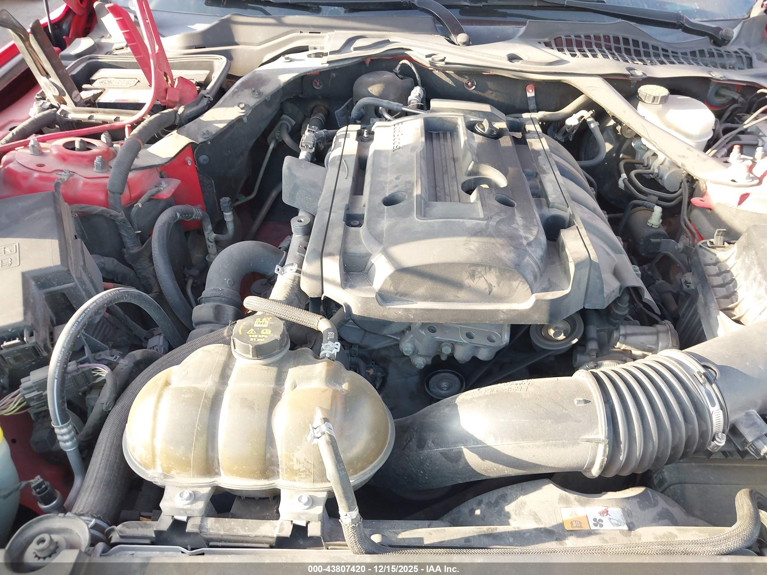 FORD MUSTANG image 10