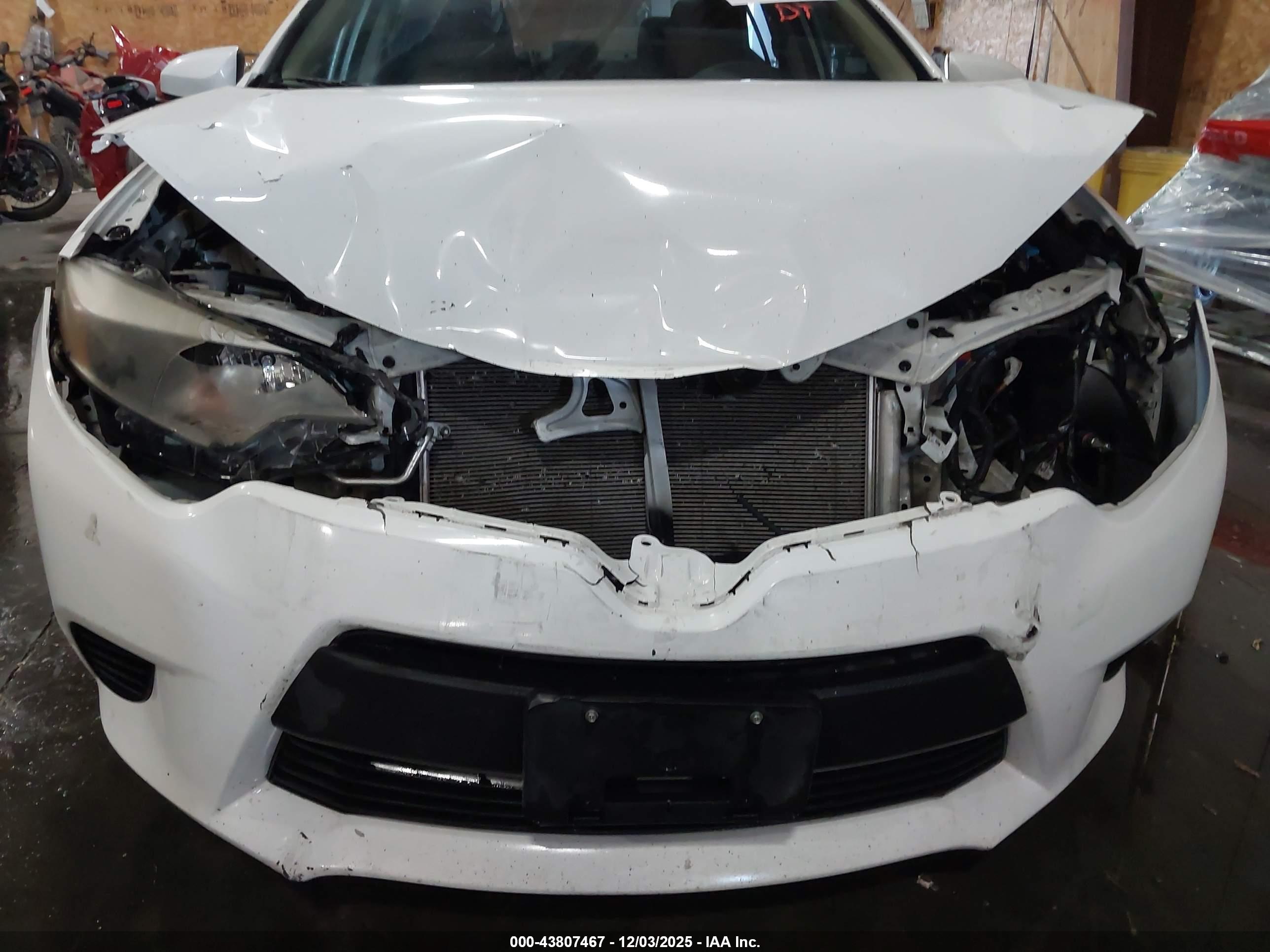 TOYOTA COROLLA image 6