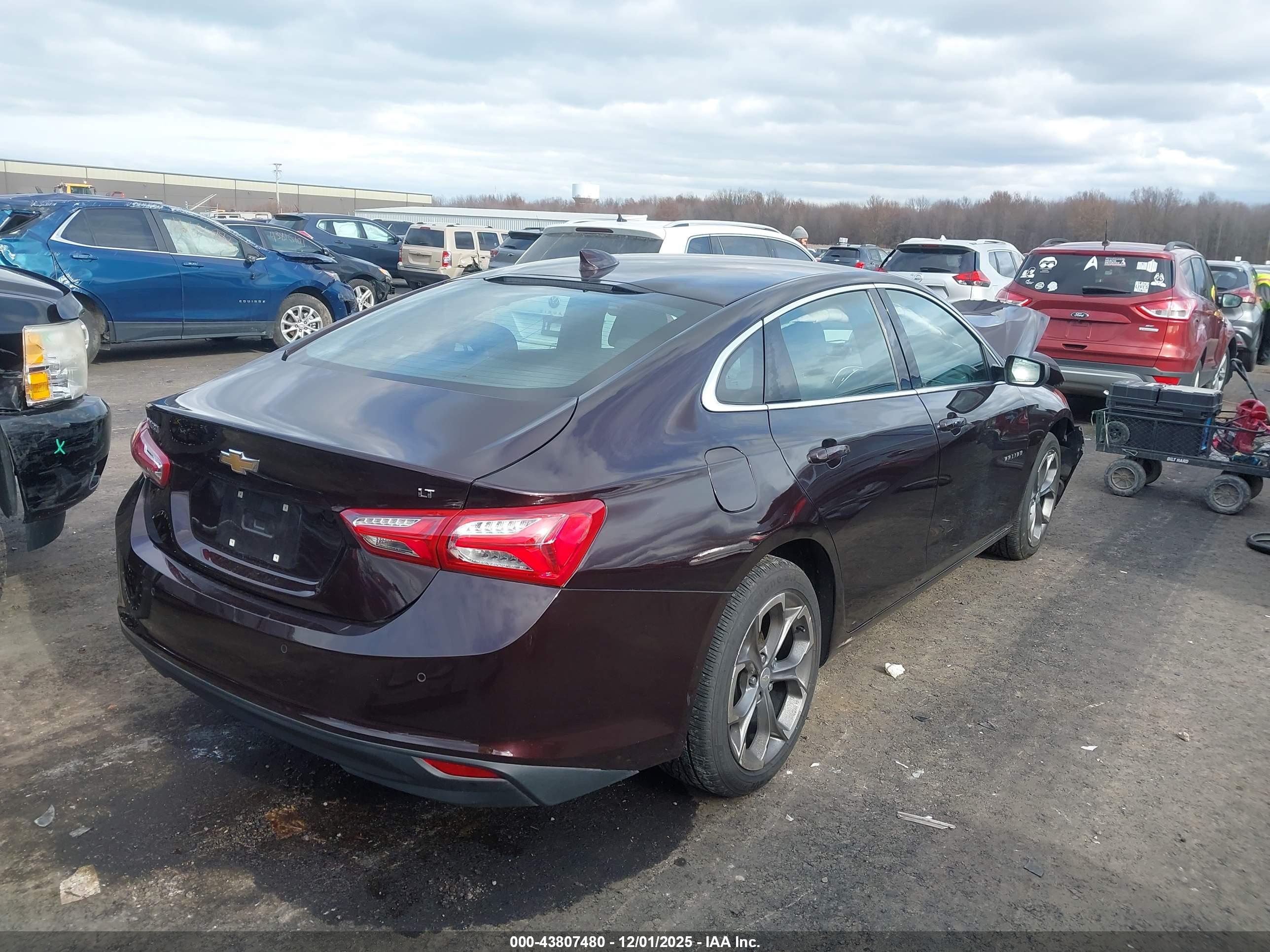 CHEVROLET MALIBU image 4