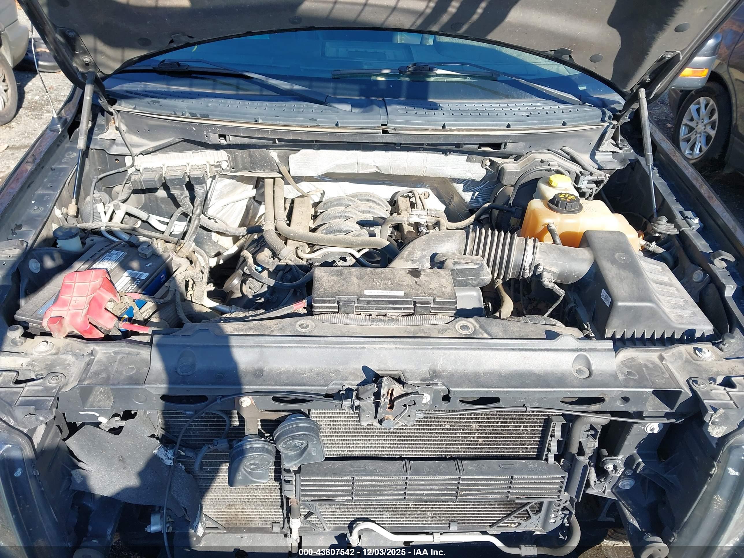 FORD F-150 image 10
