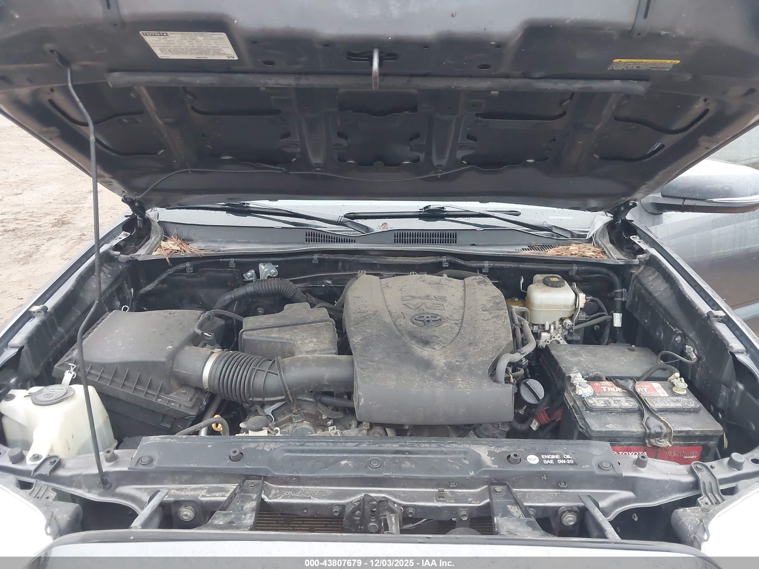 TOYOTA TACOMA image 10