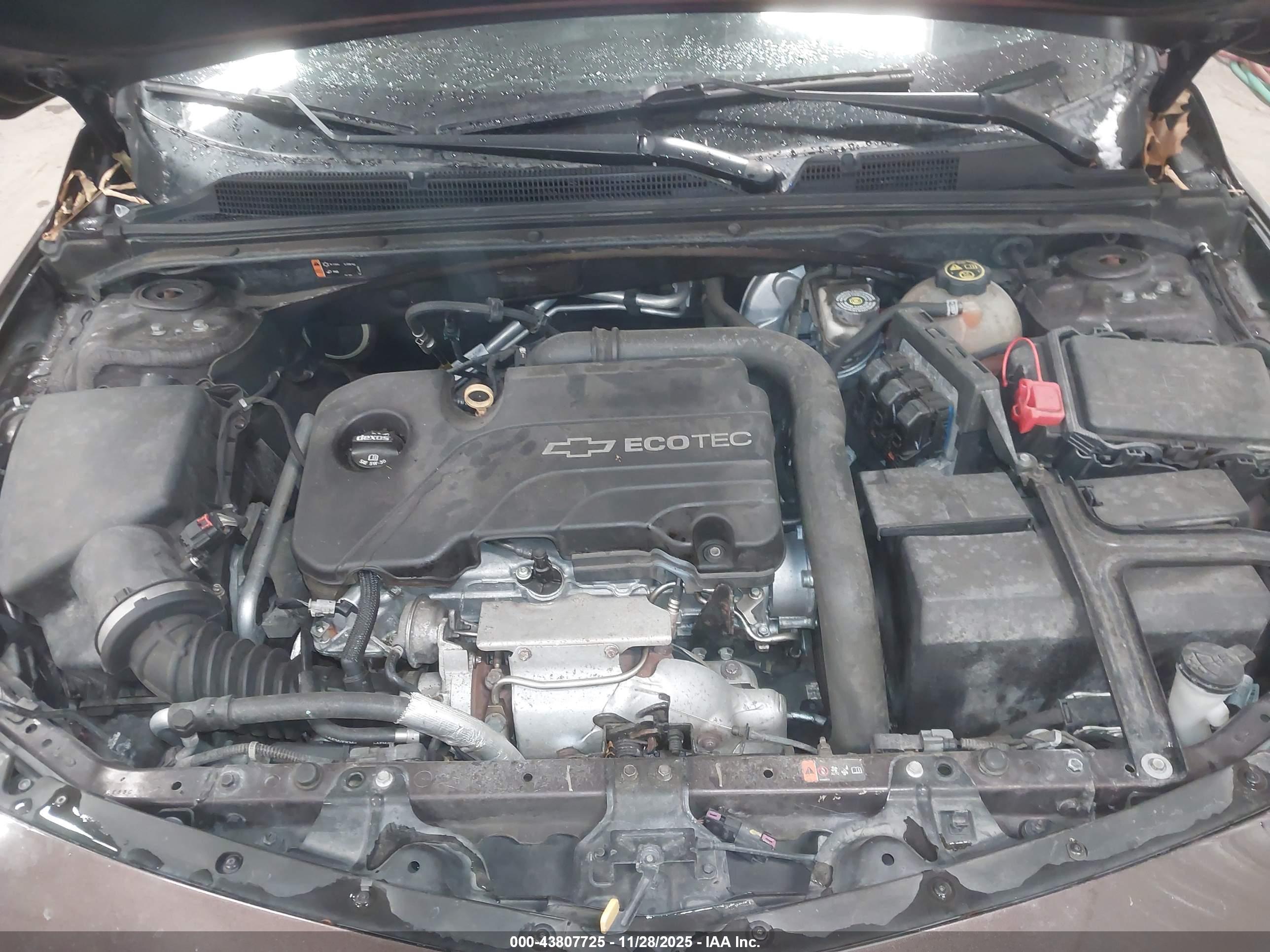 CHEVROLET MALIBU image 10