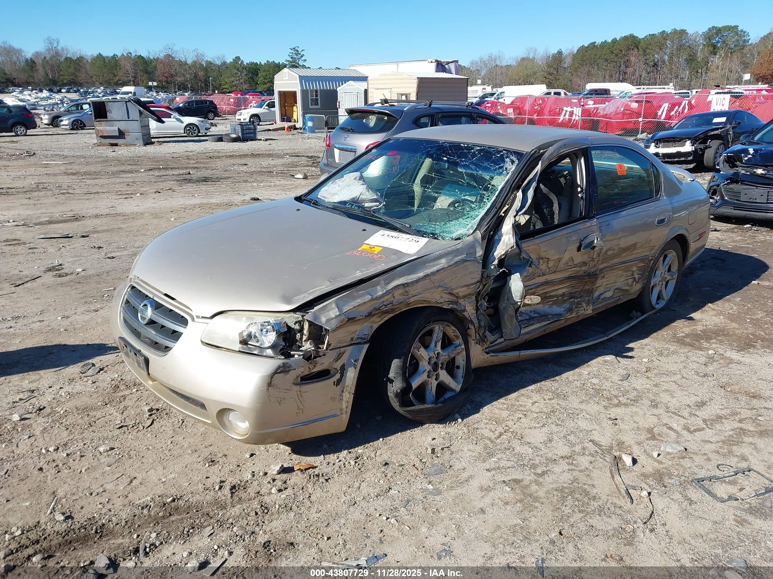 NISSAN MAXIMA image 2