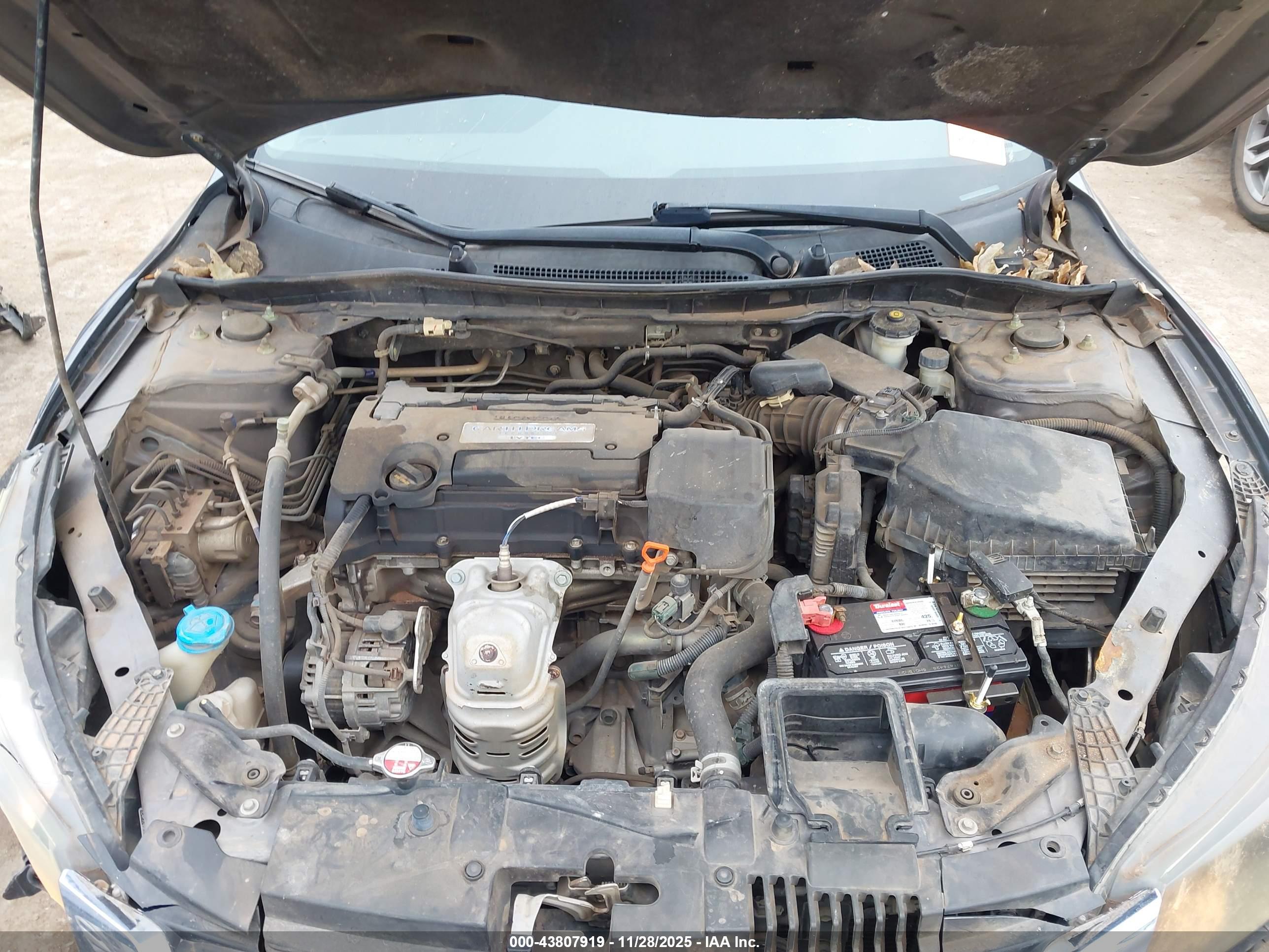 HONDA ACCORD image 10