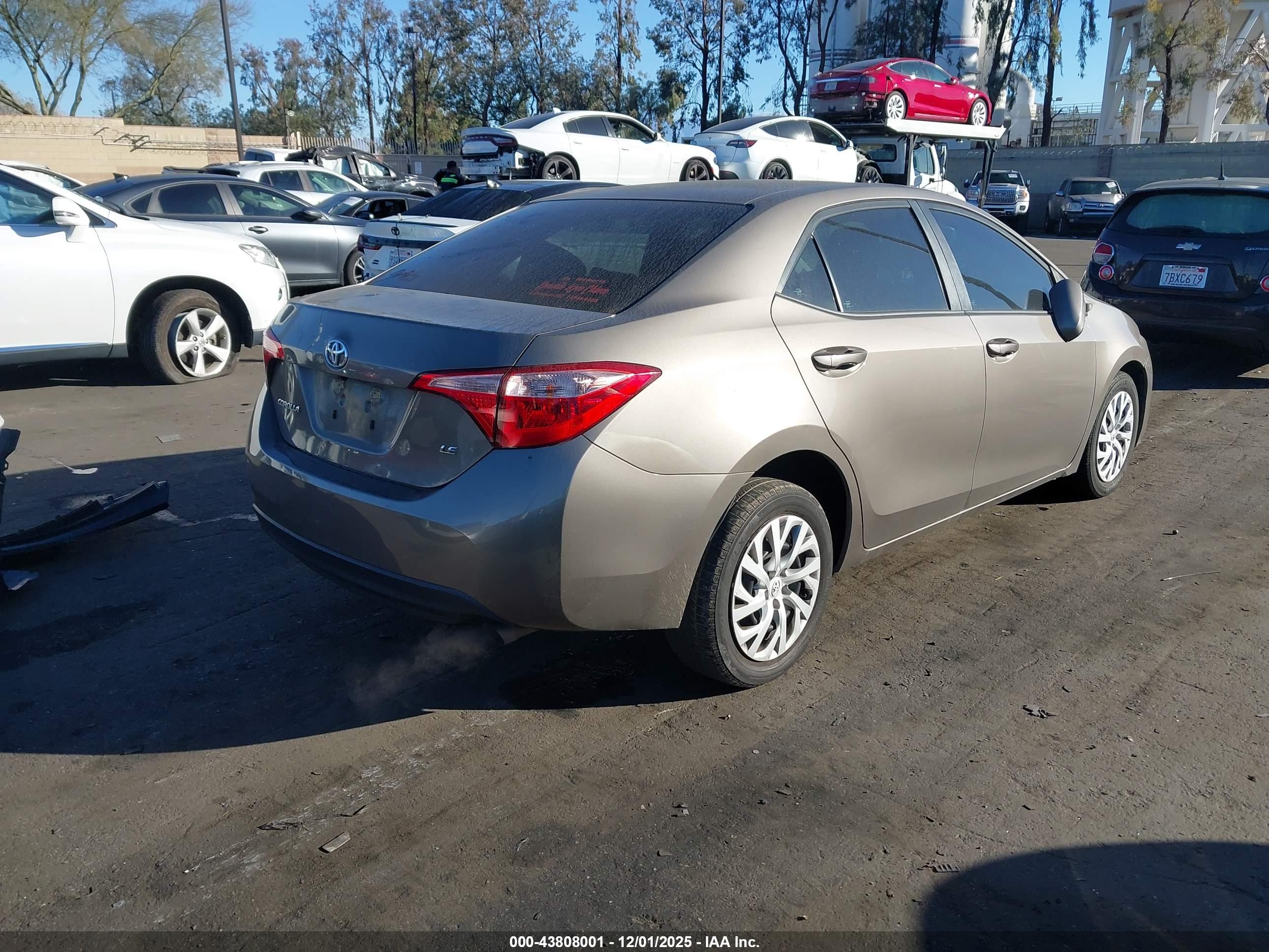 TOYOTA COROLLA image 4