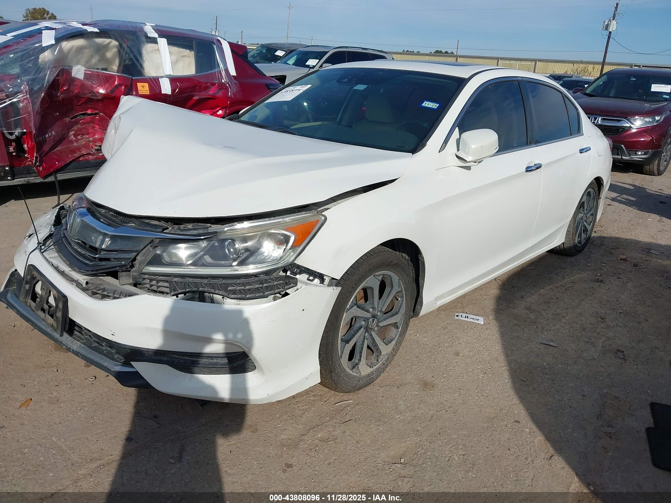 HONDA ACCORD image 2