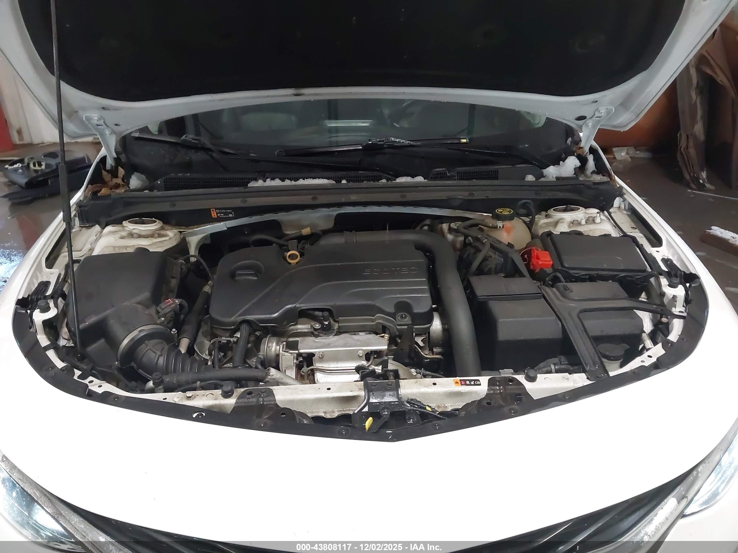 CHEVROLET MALIBU image 10