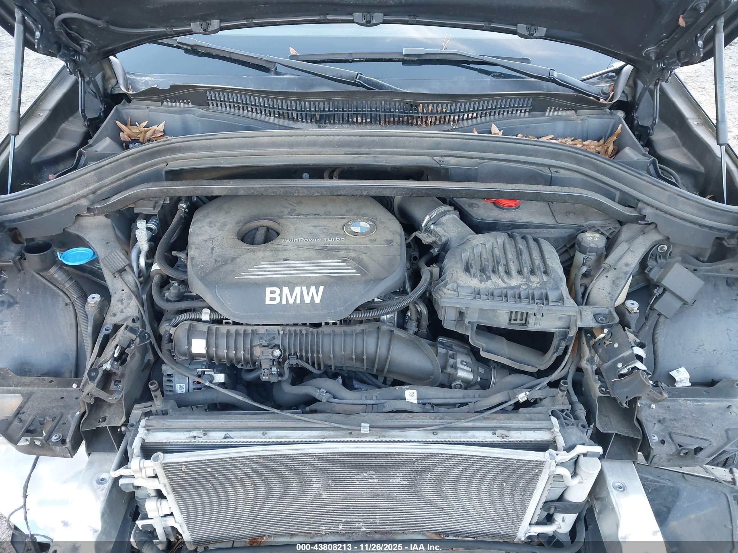 BMW X2 image 10