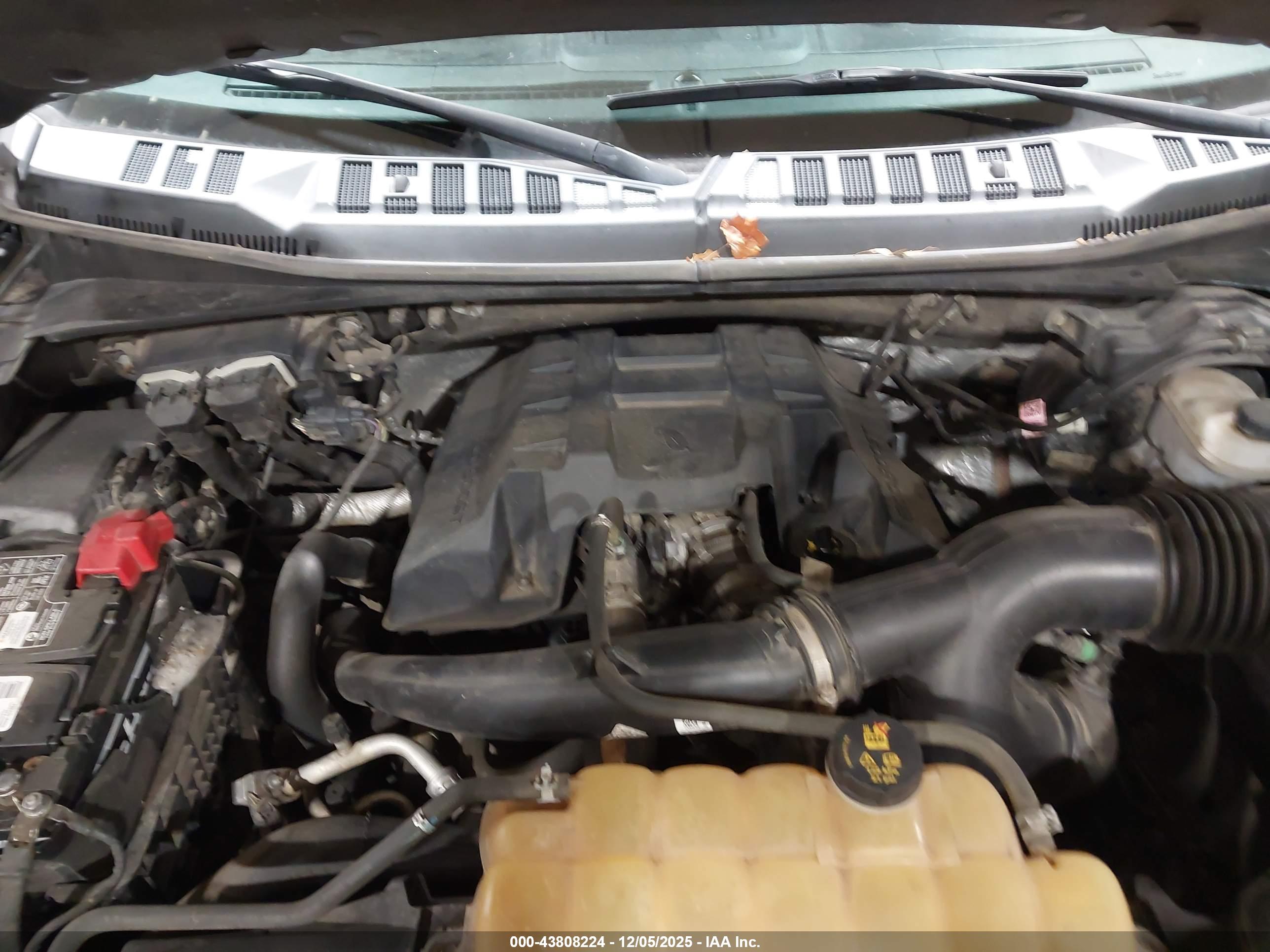 FORD F-150 image 10
