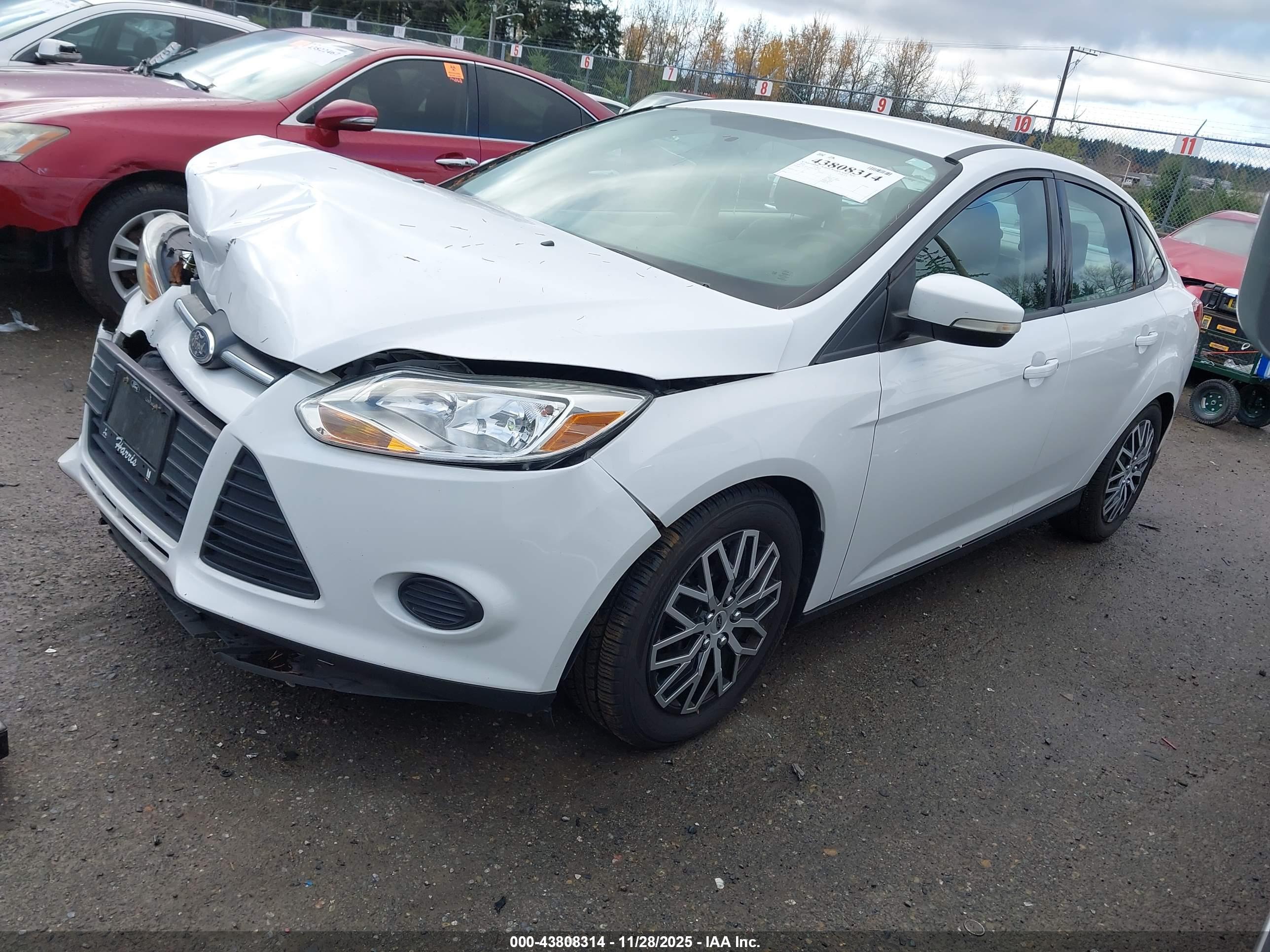 FORD FOCUS image 2