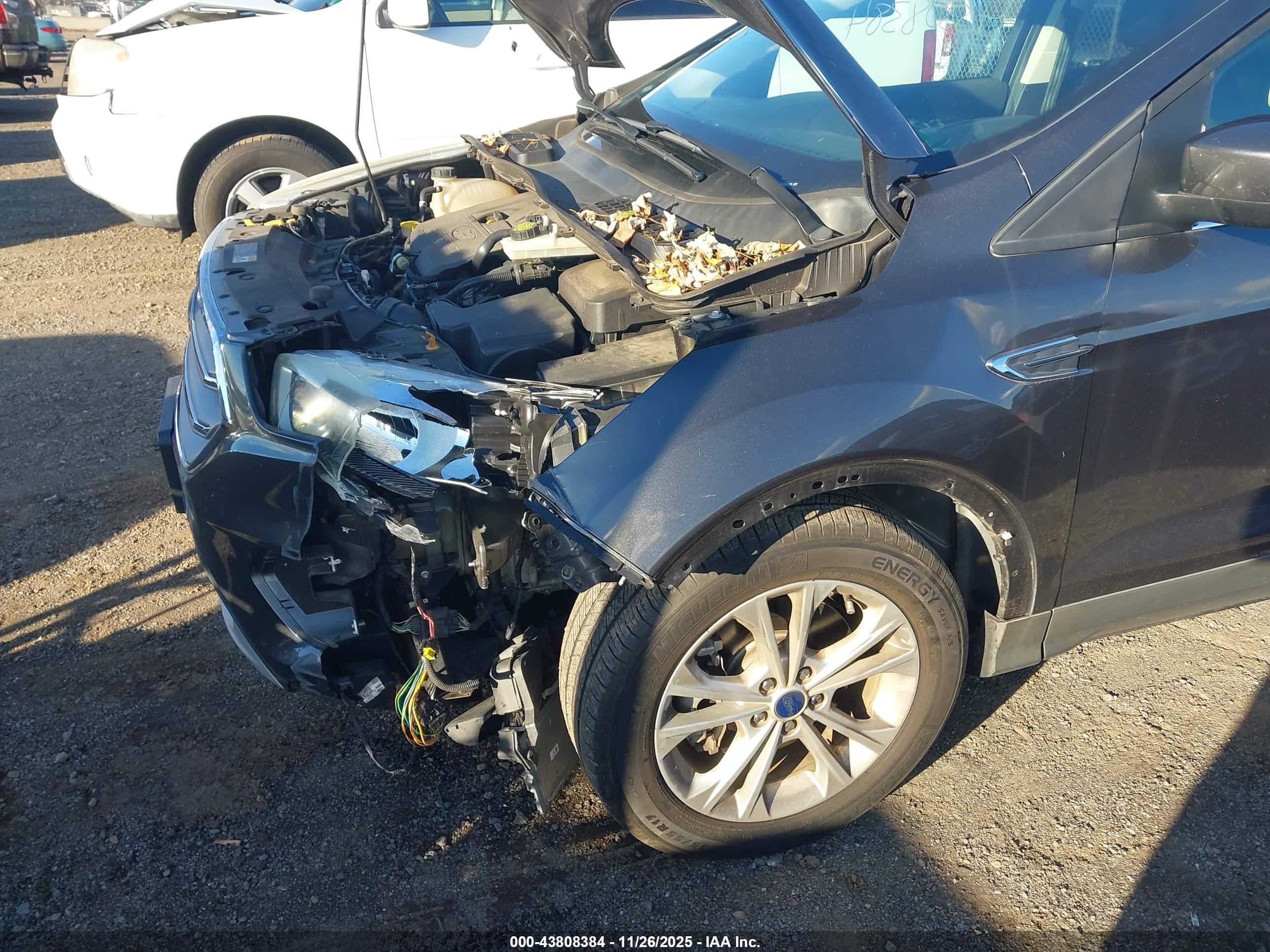 FORD ESCAPE image 6