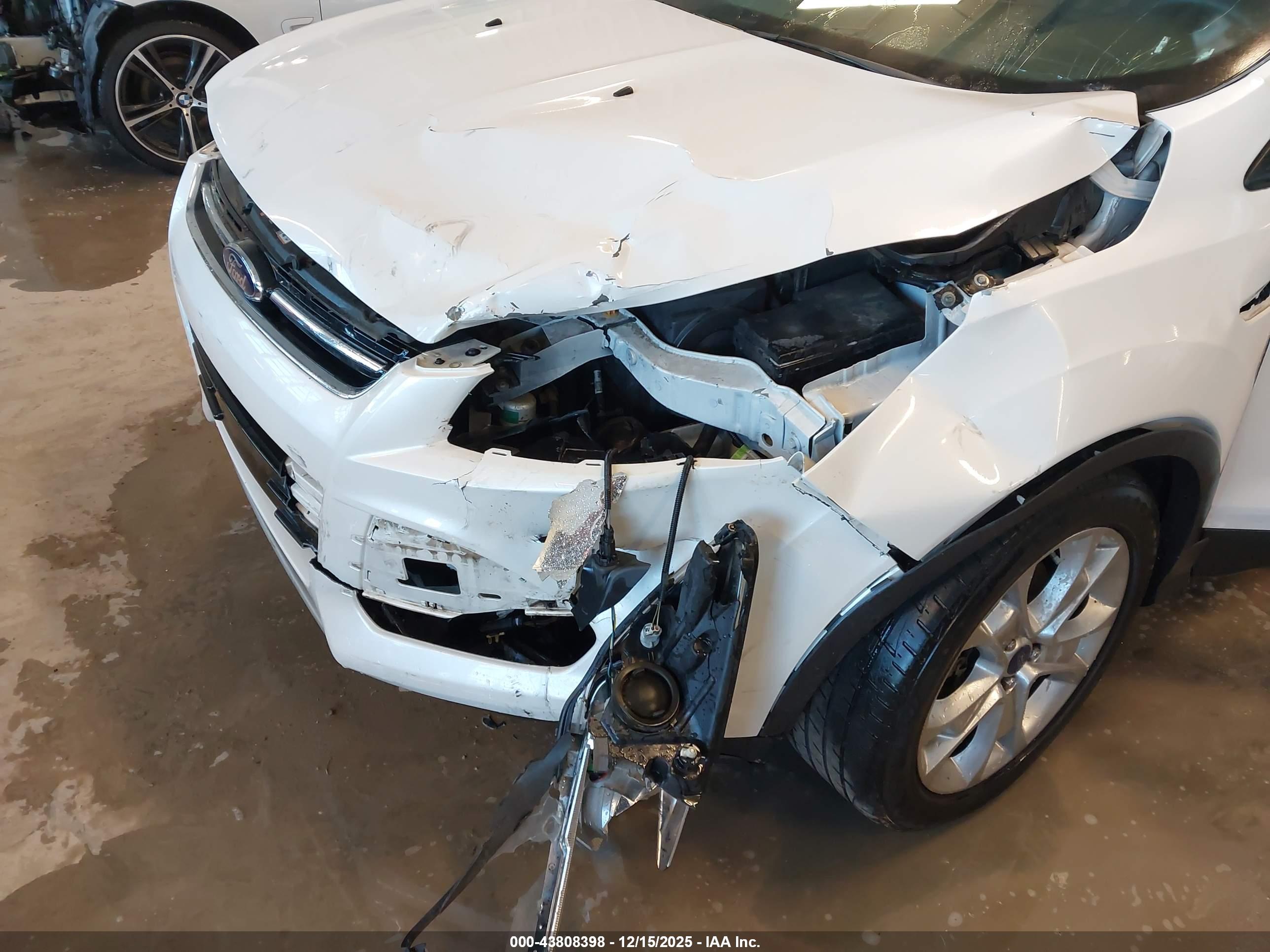 FORD ESCAPE image 6