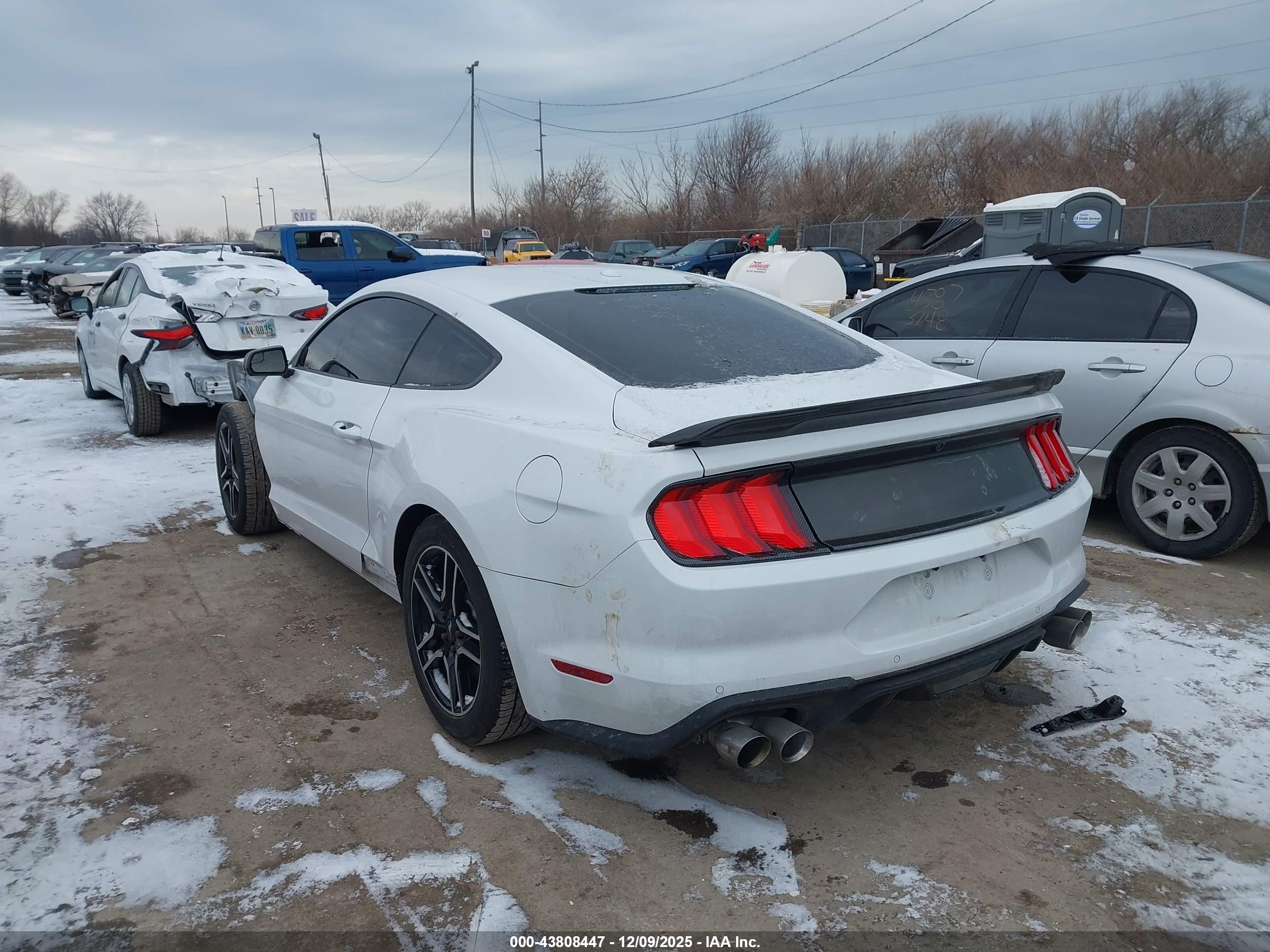 FORD MUSTANG image 3