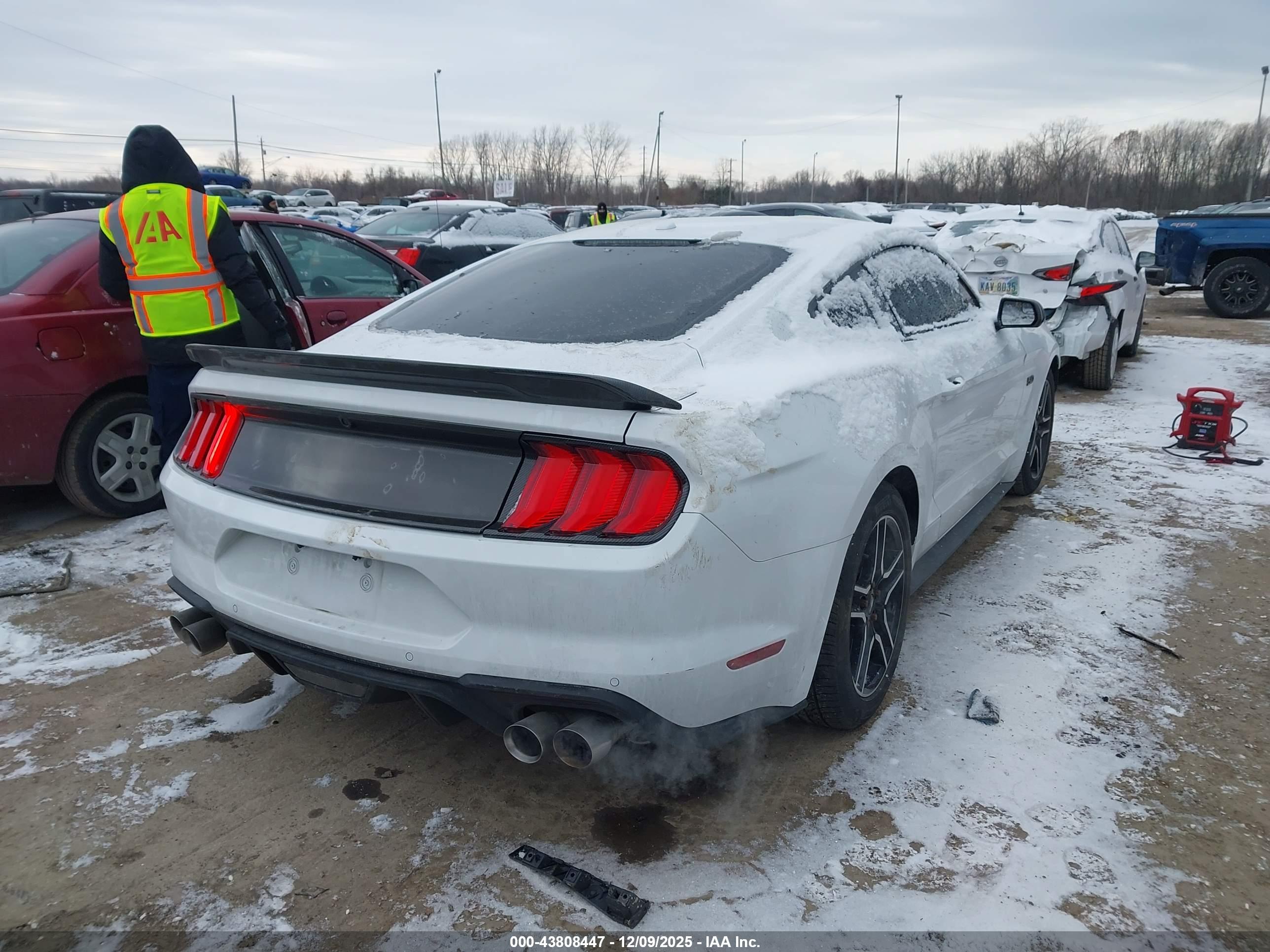 FORD MUSTANG image 4