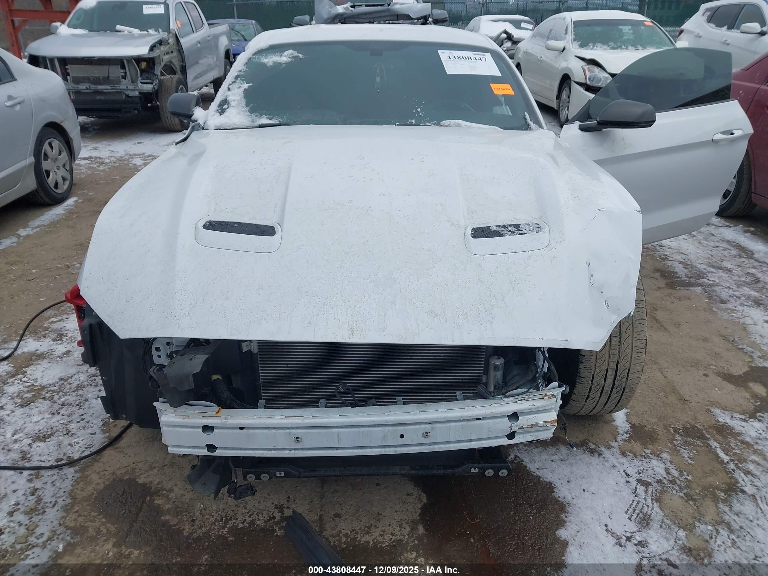 FORD MUSTANG image 6