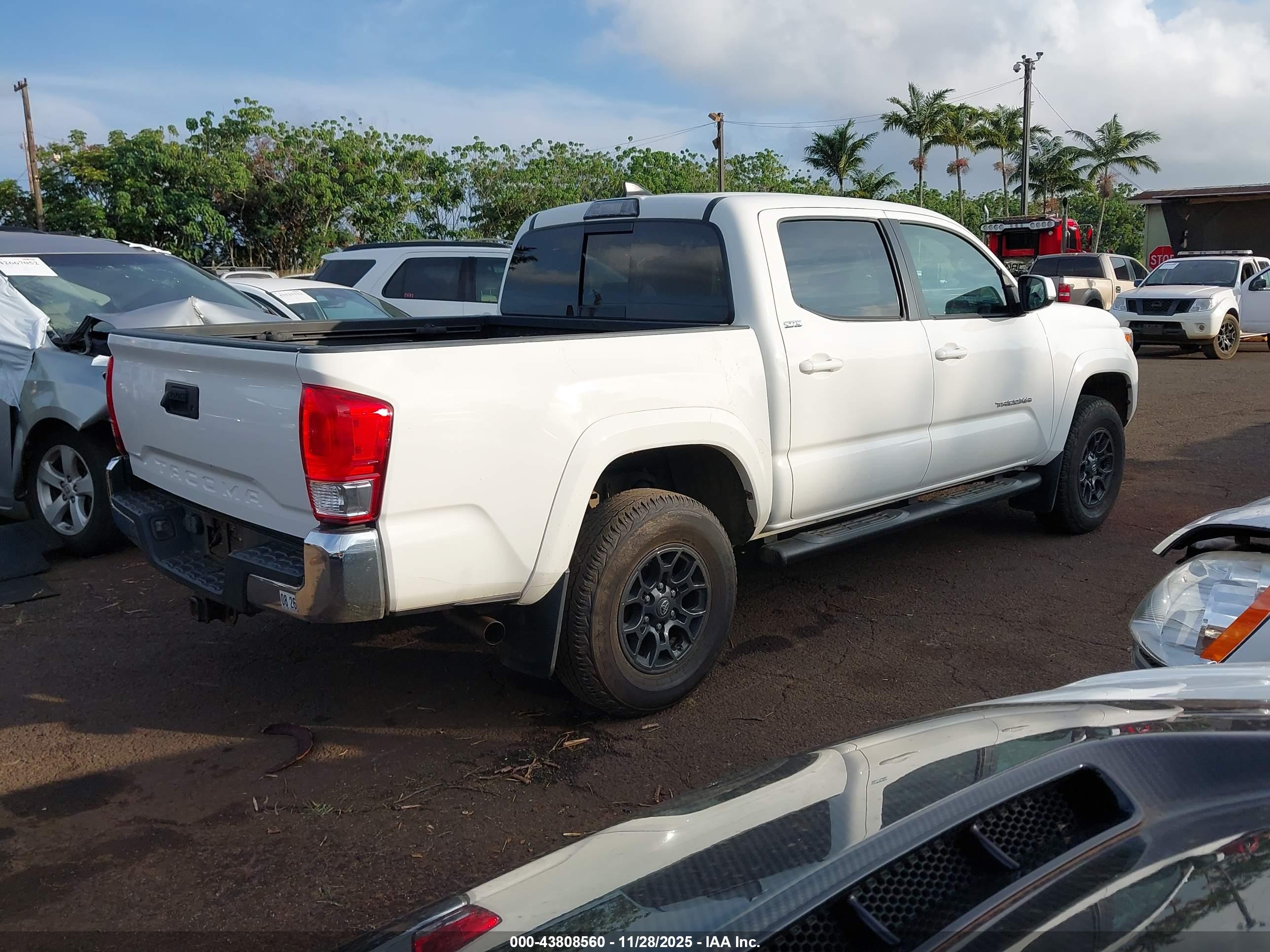 TOYOTA TACOMA image 4