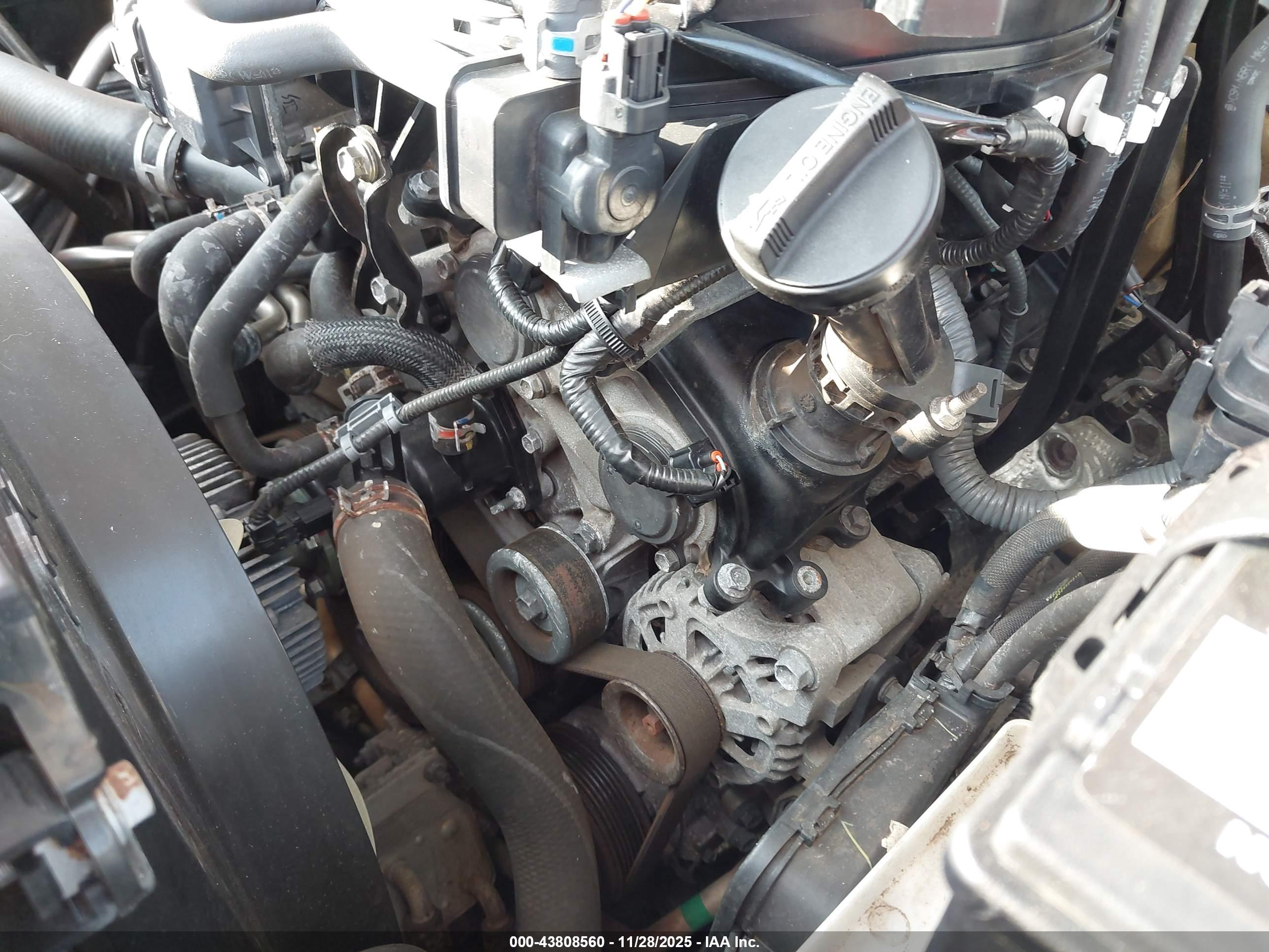 TOYOTA TACOMA image 6
