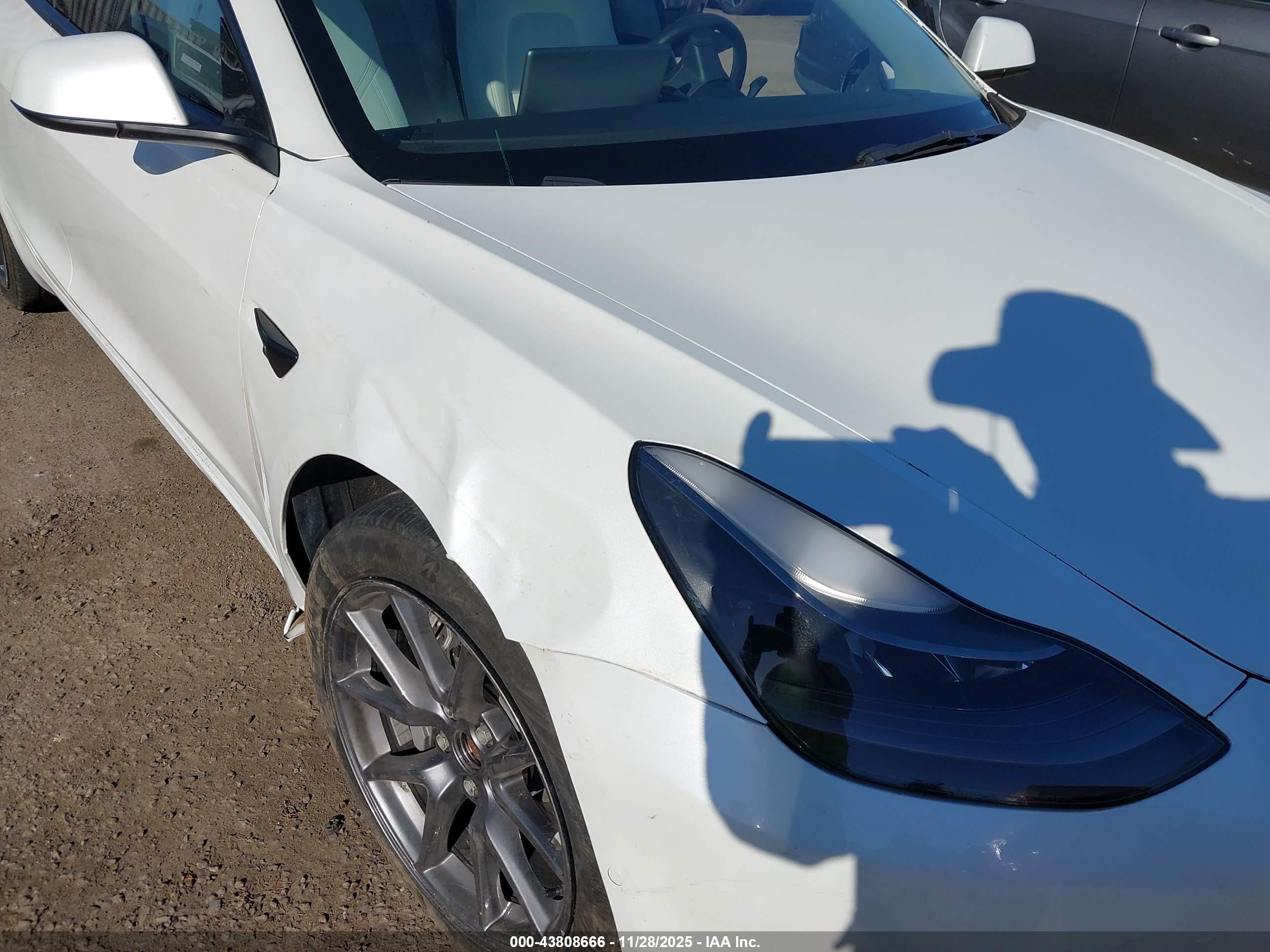 TESLA MODEL image 6