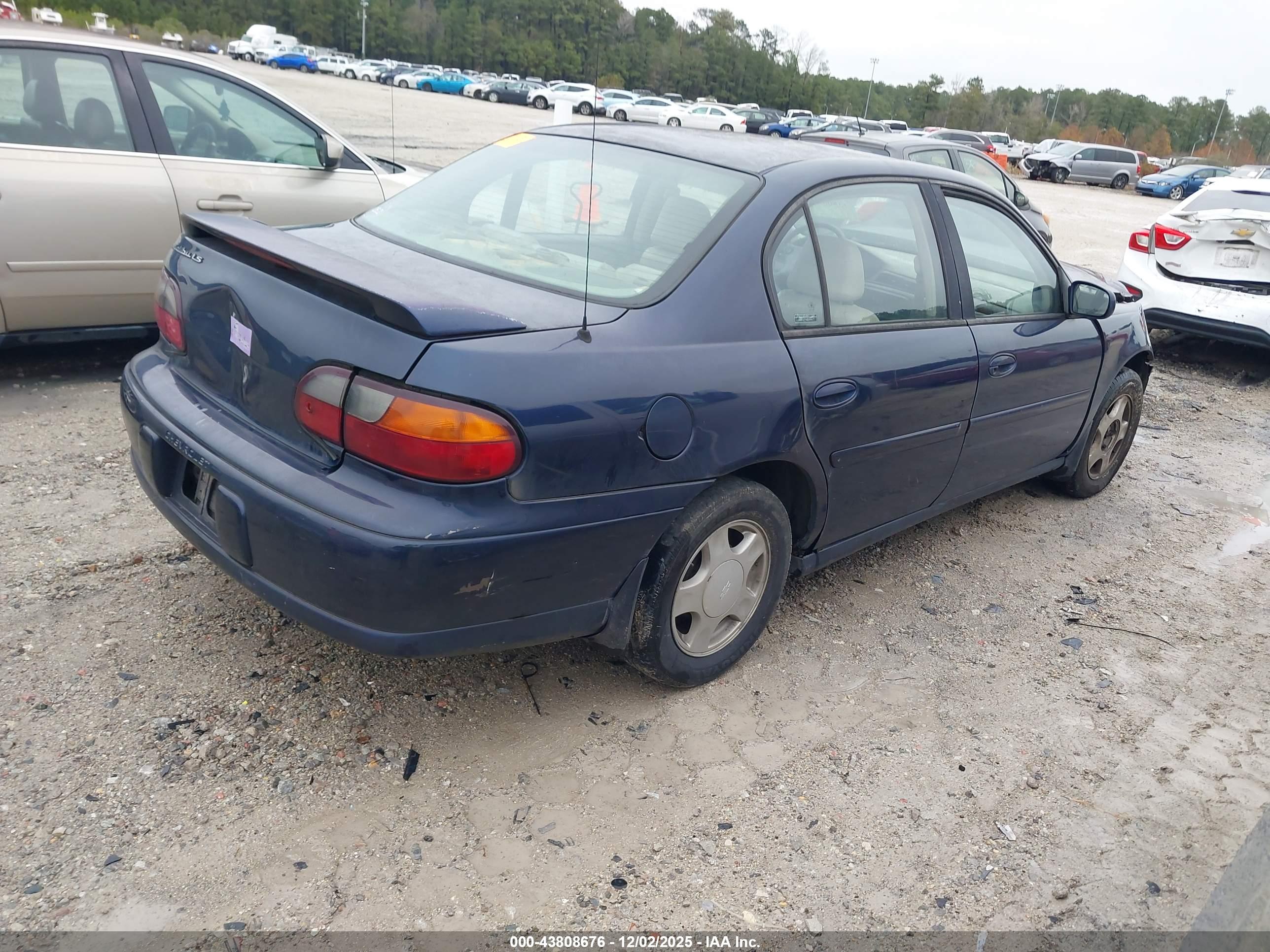 CHEVROLET MALIBU image 4