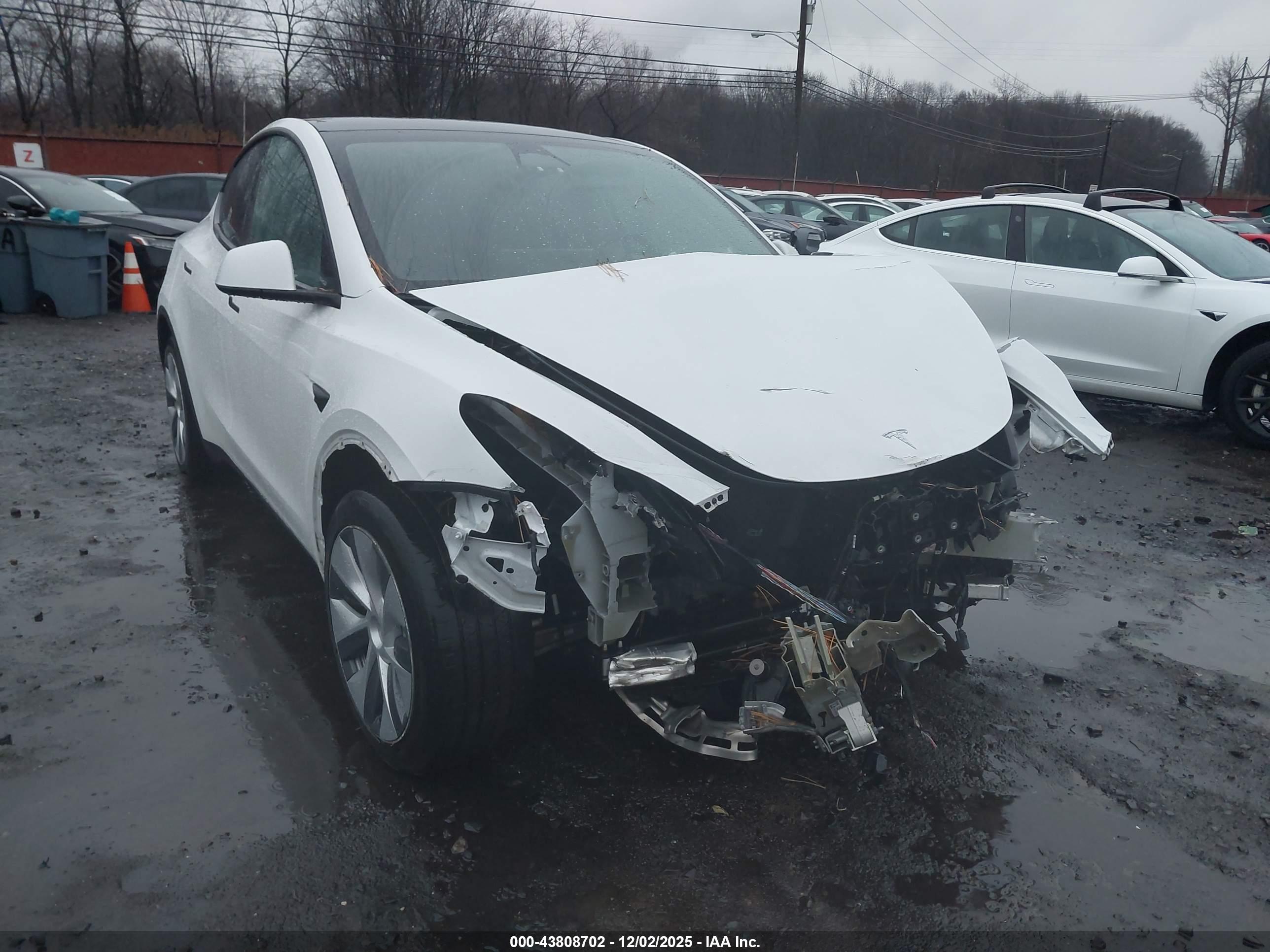 TESLA MODEL image 6