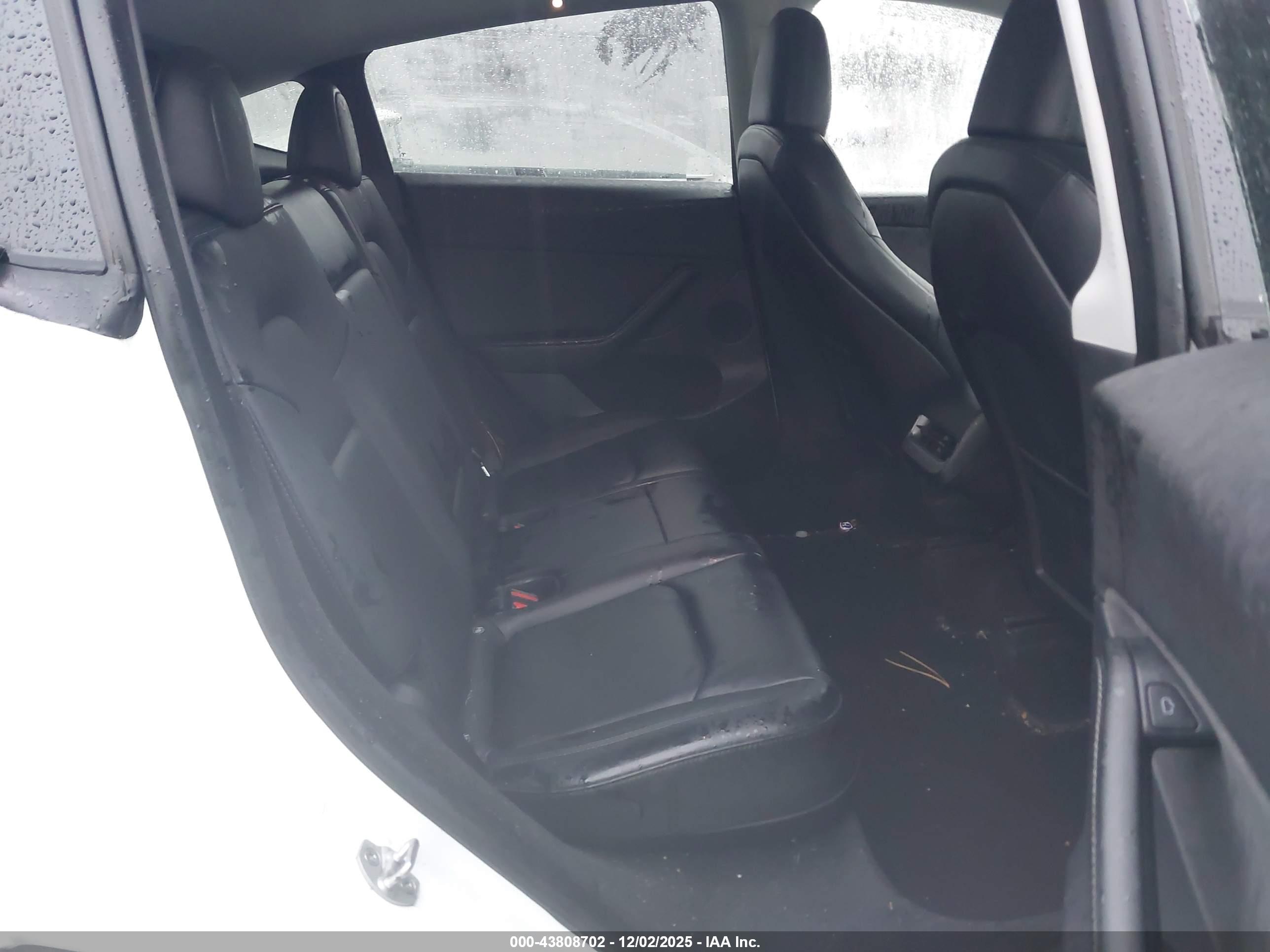 TESLA MODEL image 8