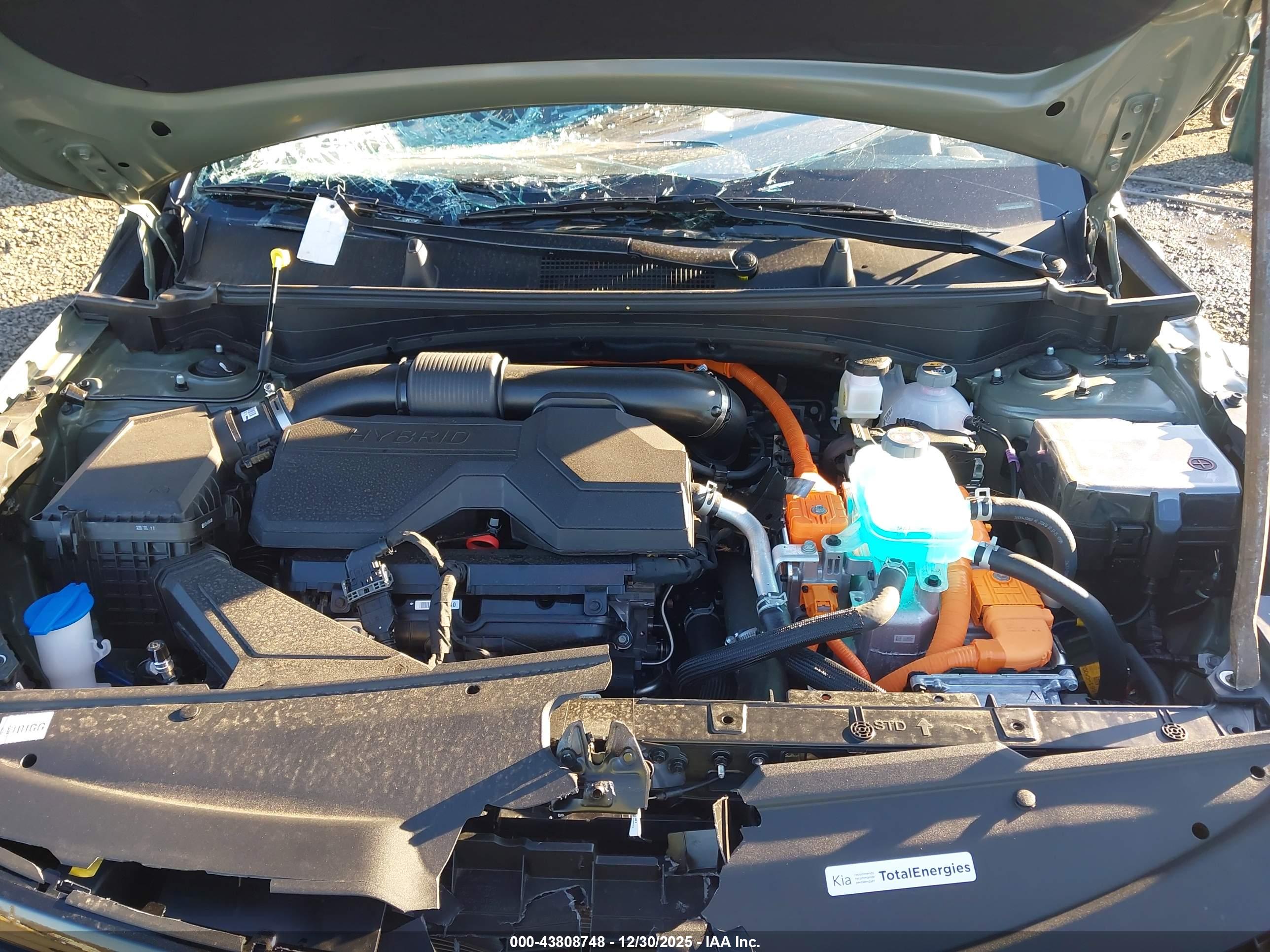 KIA SPORTAGE image 10